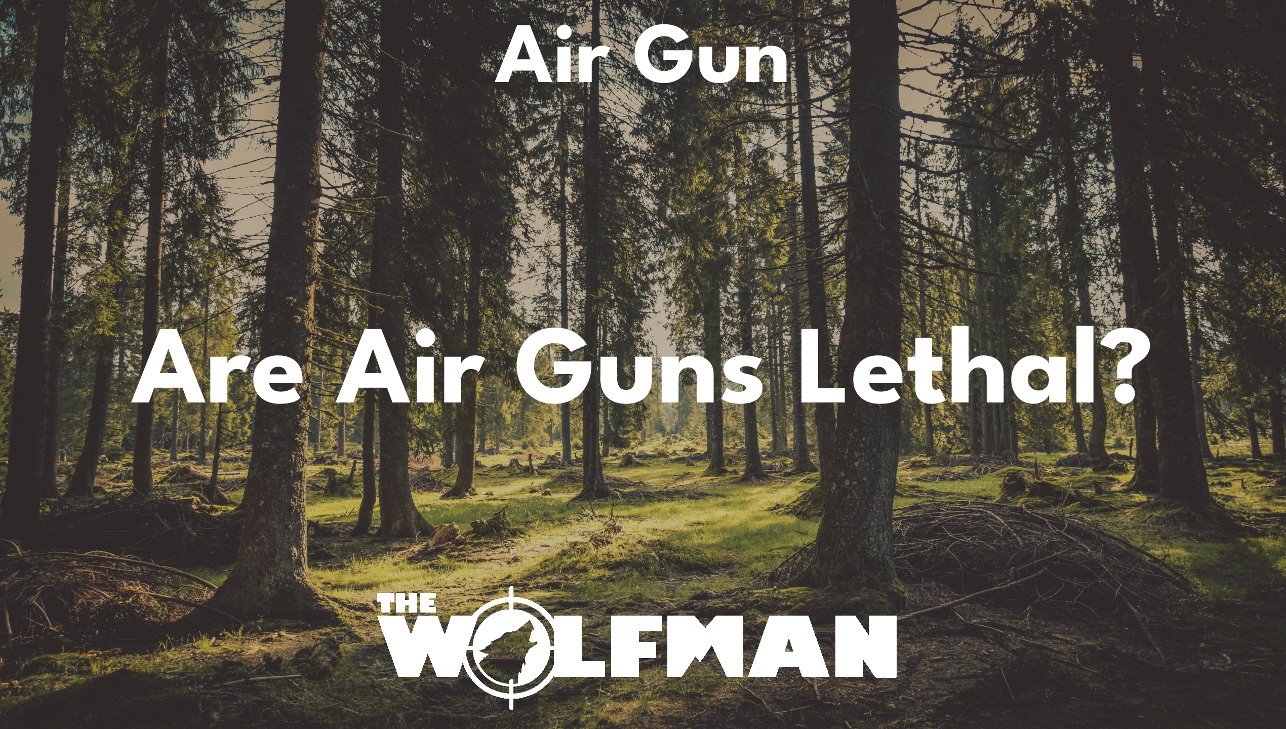 Are Air Guns Lethal? — The Wolfman