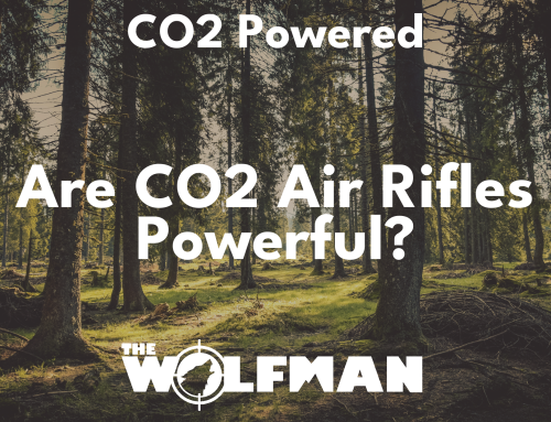 Are CO2 Air rifles powerful?