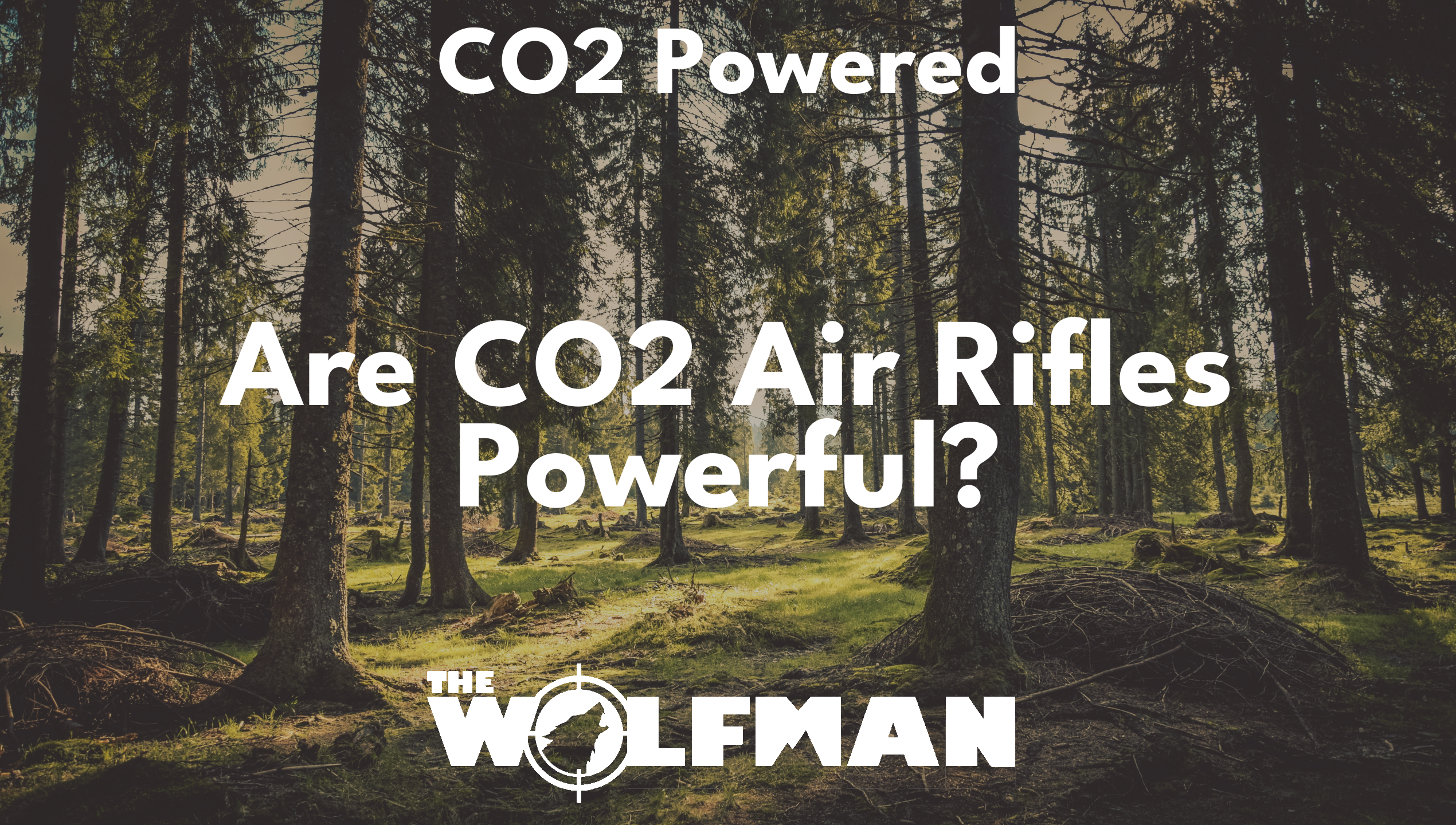 Are CO2 Air Rifles Powerful? — The Wolfman