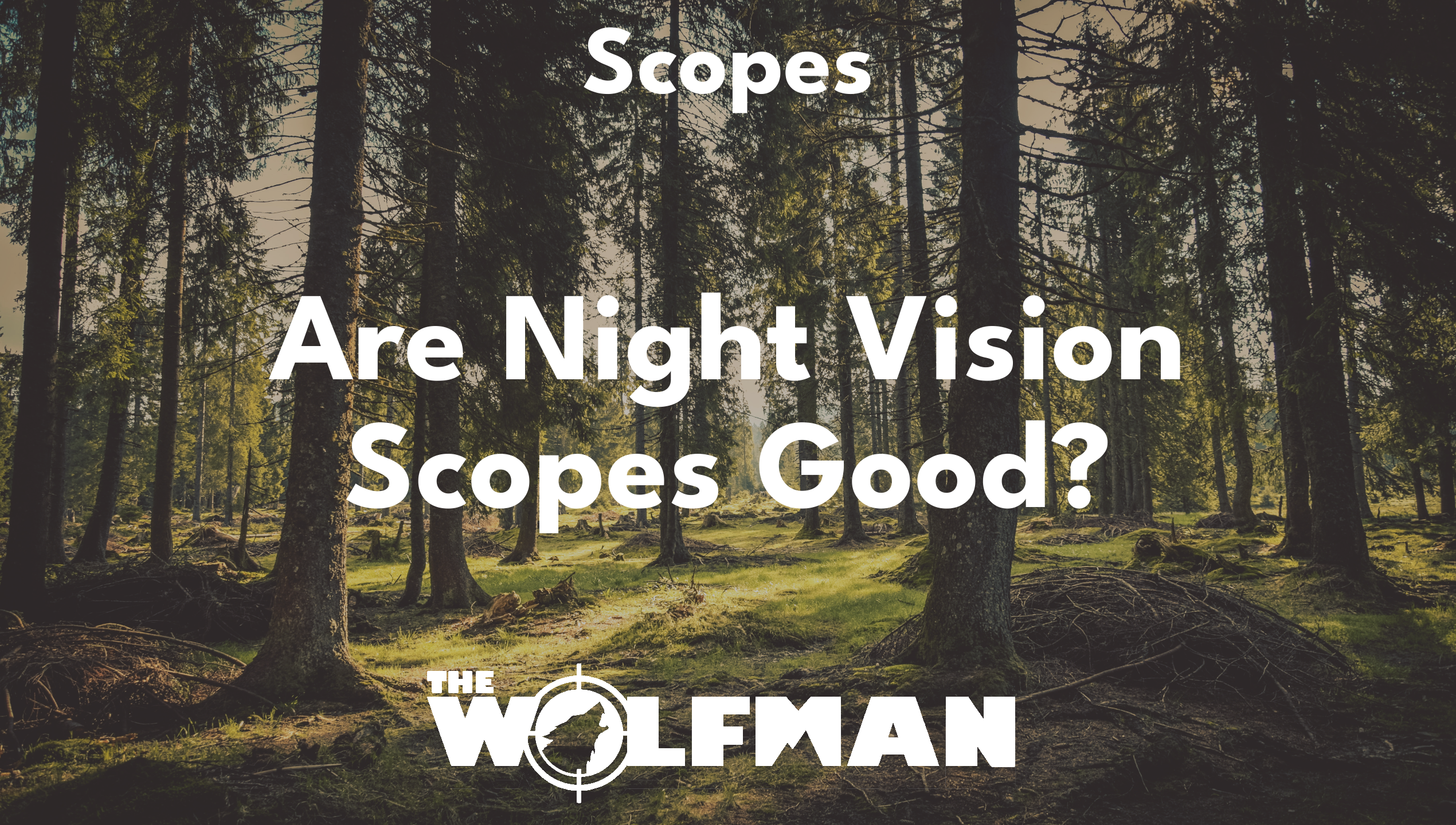 Are Night Vision Scopes Good? — The Wolfman