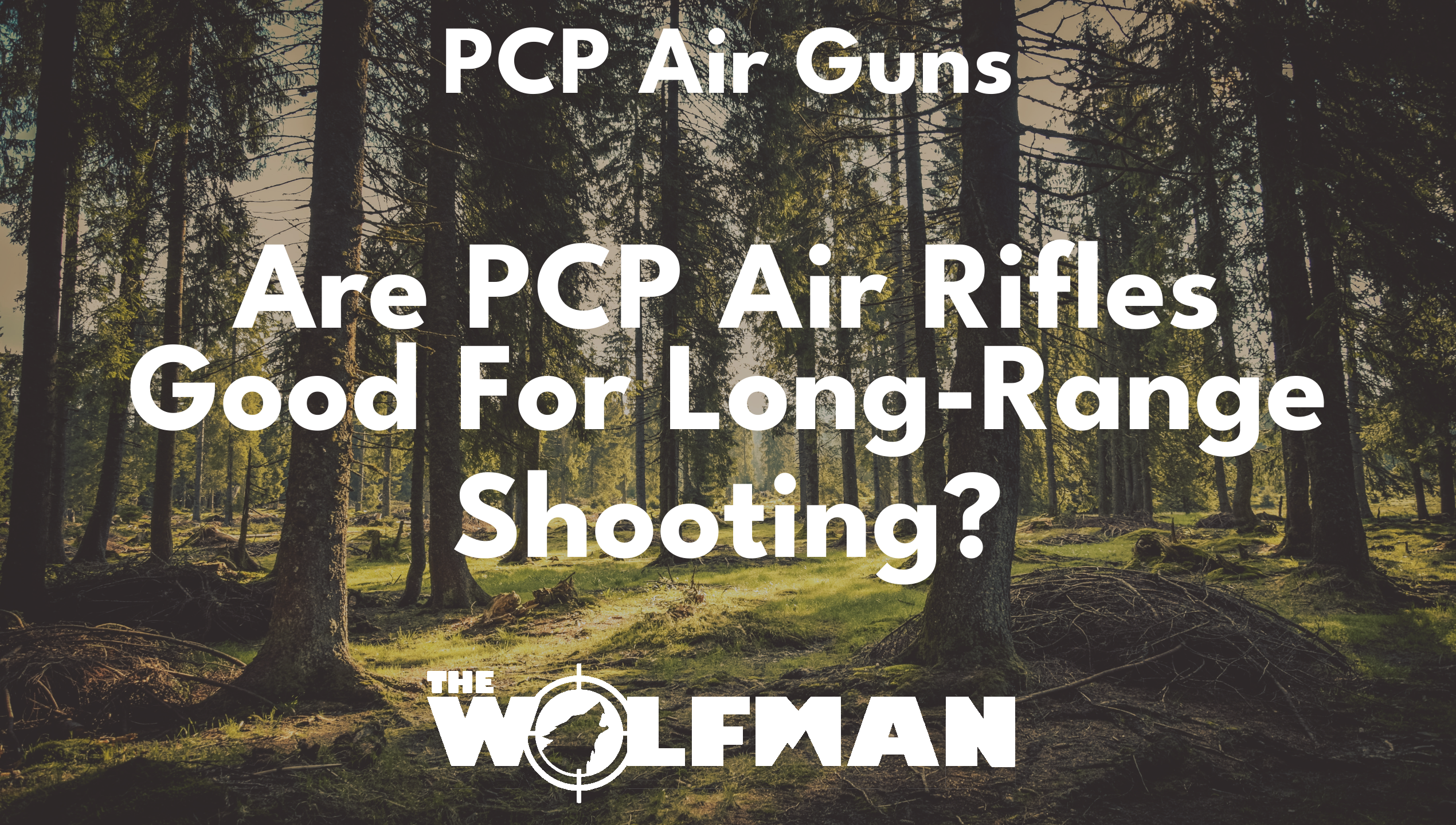 Are PCP Air Rifles Good For Long-Range Shooting? — The Wolfman