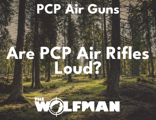 Are PCP air rifles loud?