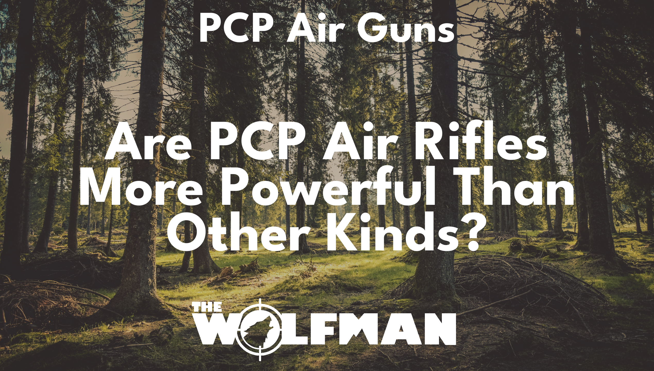 Are PCP Air Rifles More Powerful Than Other Kinds? — The Wolfman