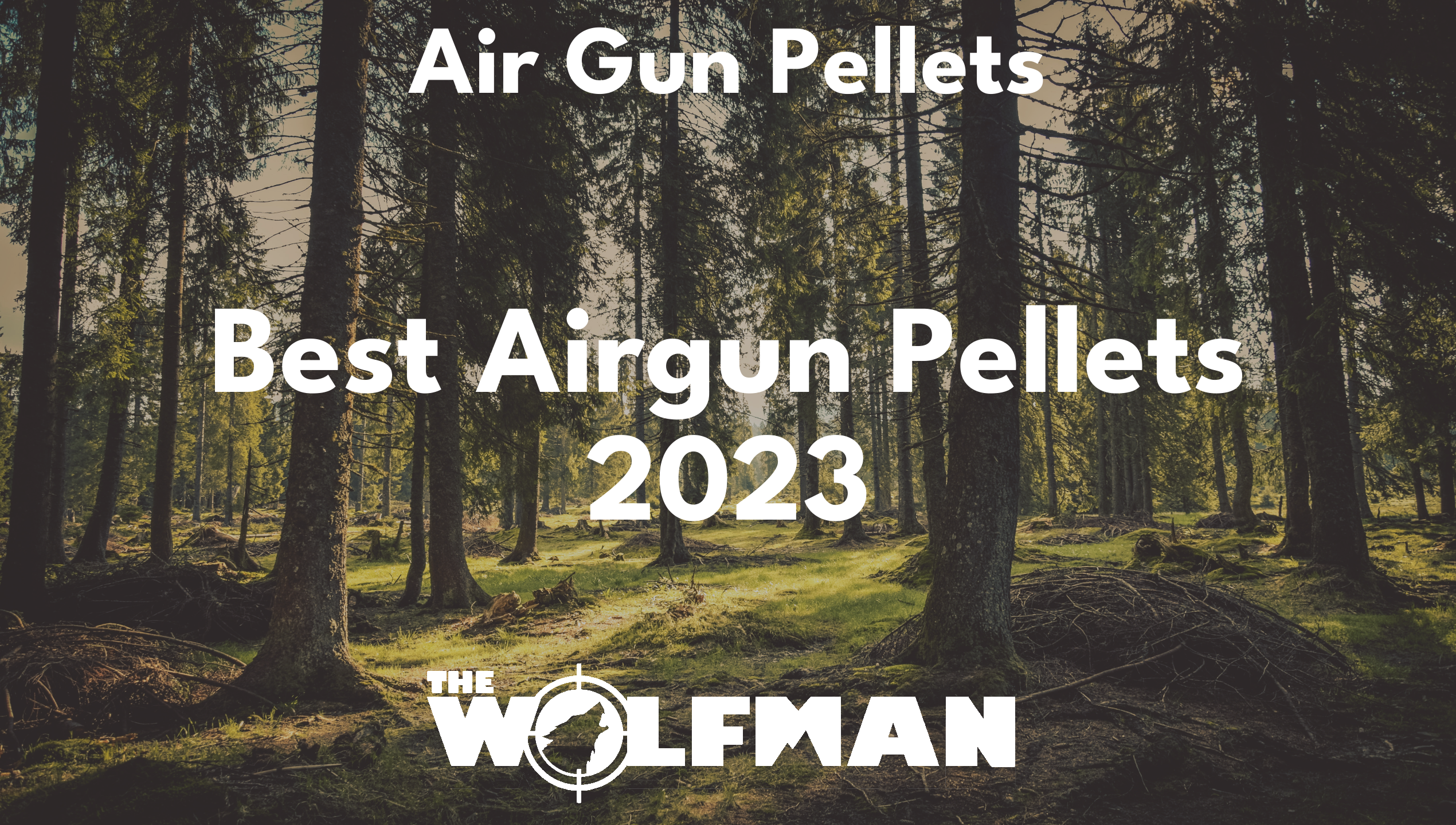 Best Airgun Pellets 2023 — The Wolfman