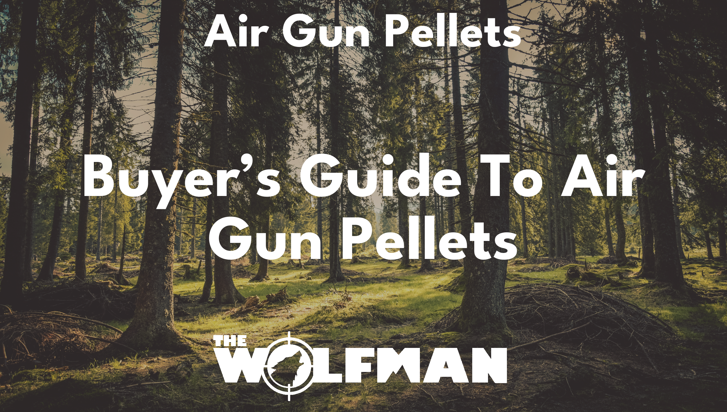 Buyer’s Guide To Air Gun Pellets — The Wolfman