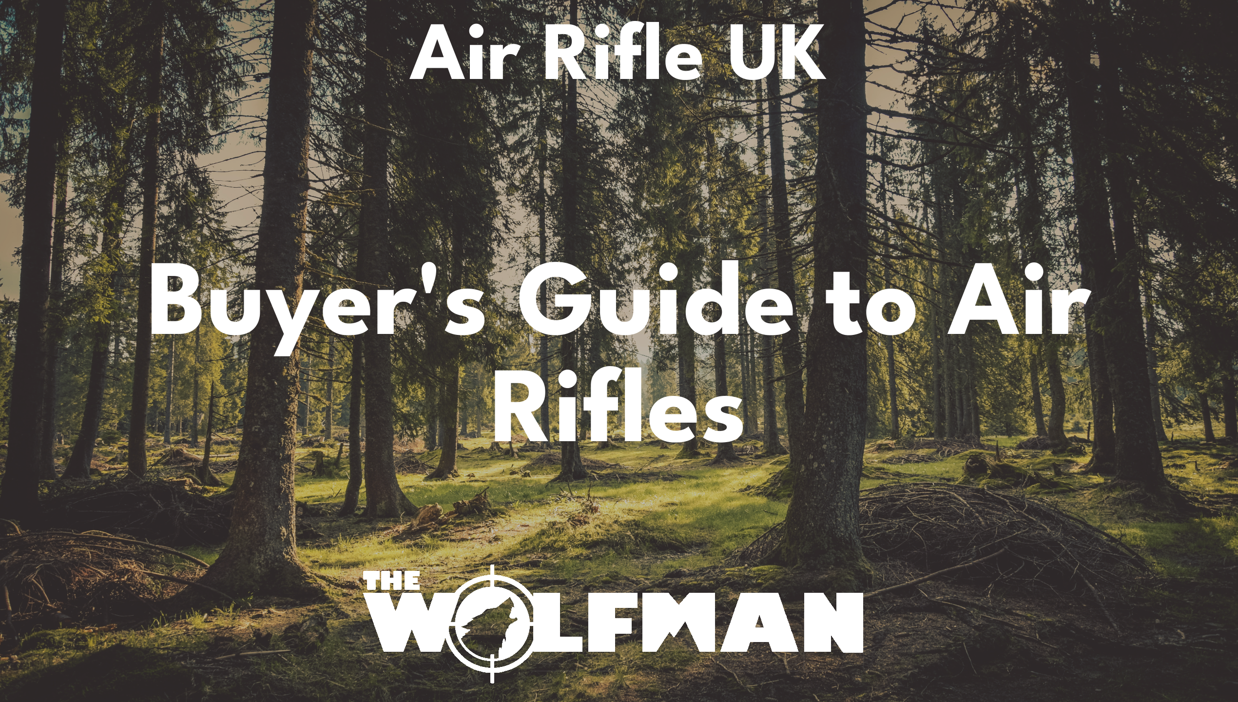 Buyer's Guide to Air Rifles — The Wolfman