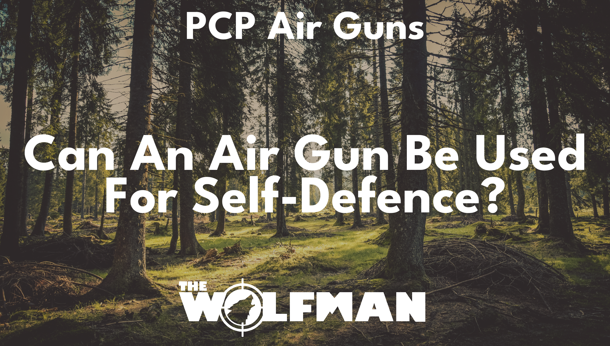 Can An Air Gun Be Used For Self-Defence? — The Wolfman