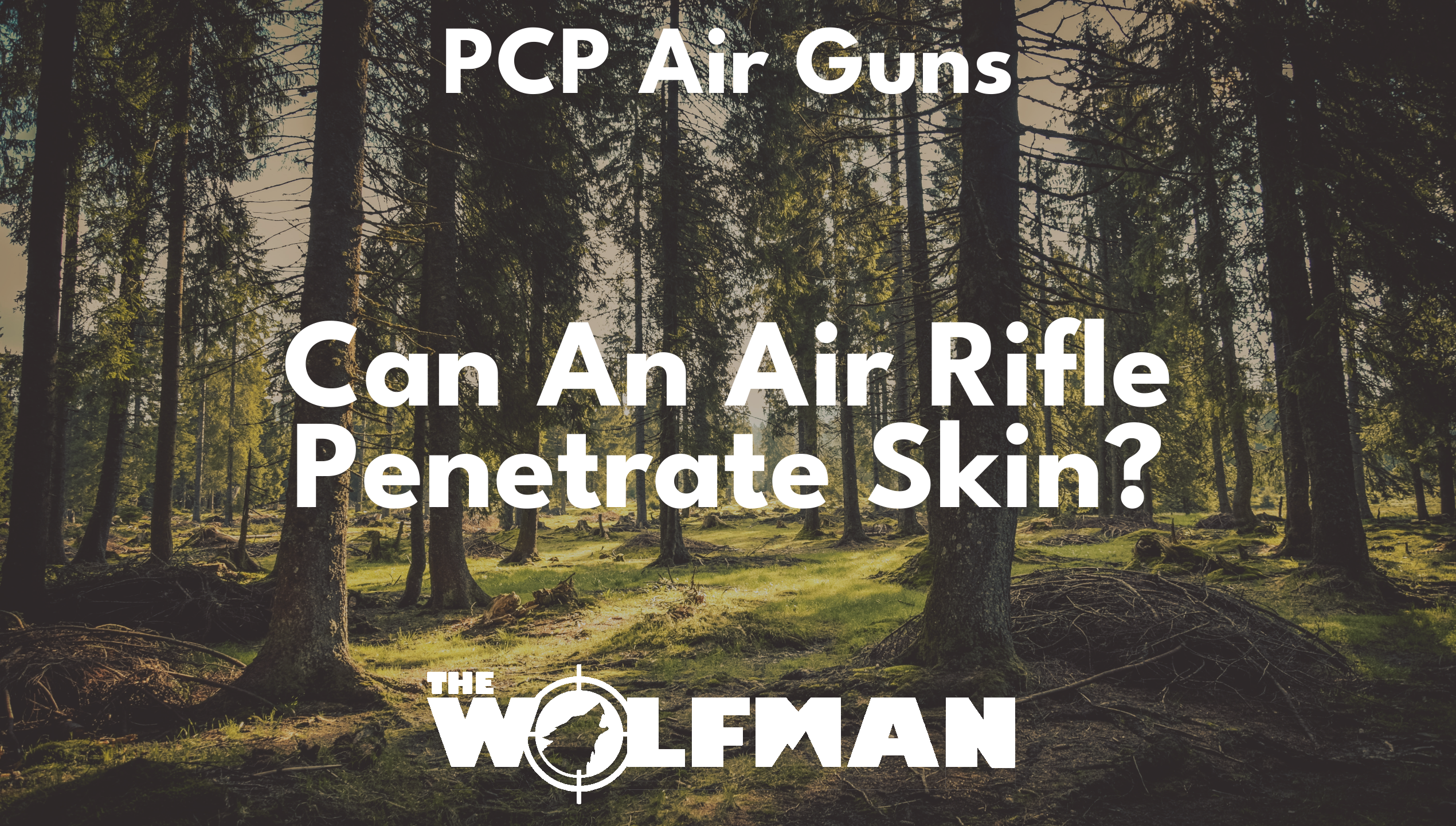 Can An Air Rifle Penetrate Skin? — The Wolfman