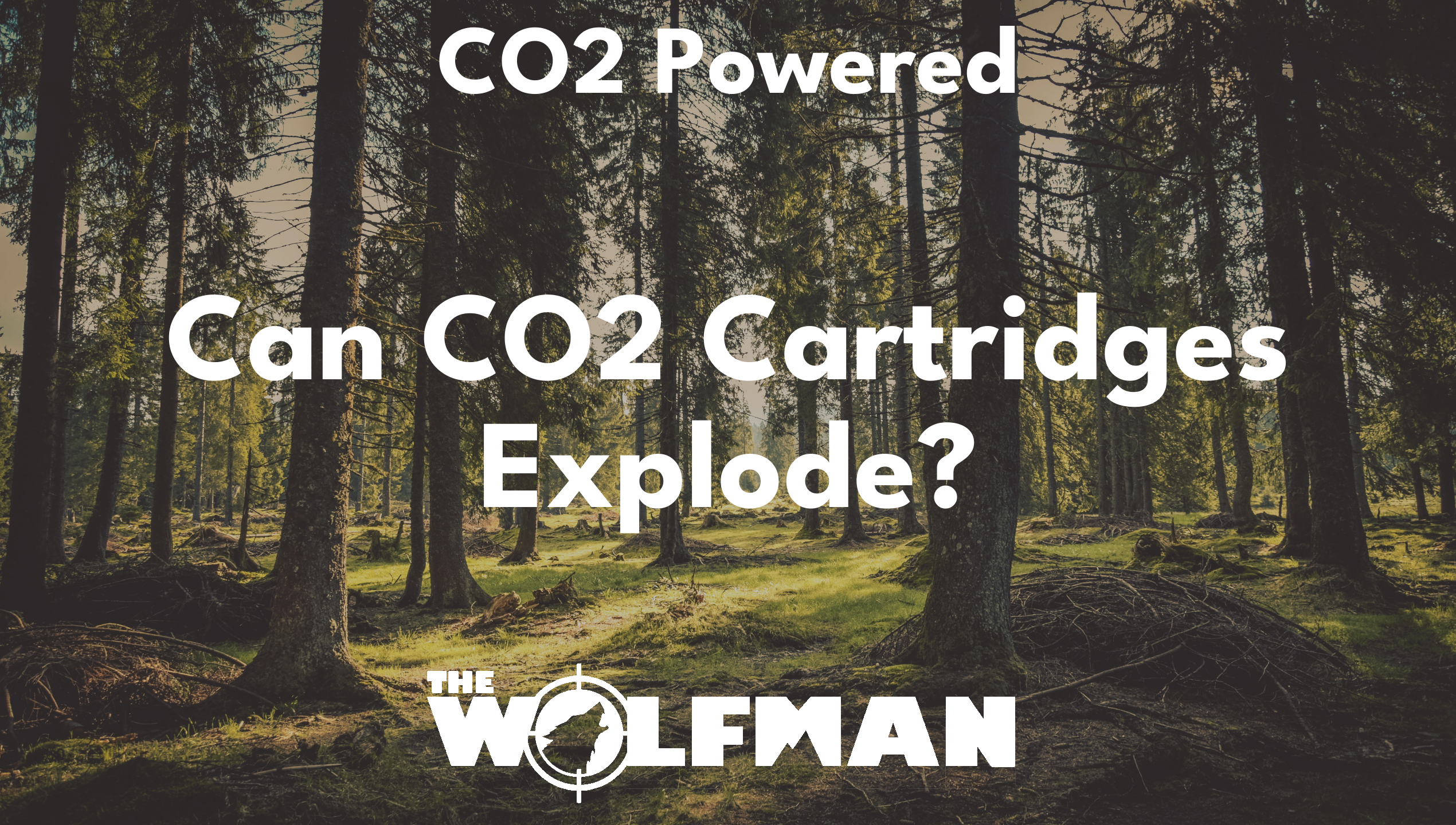 Can CO2 Cartridges Explode? — The Wolfman