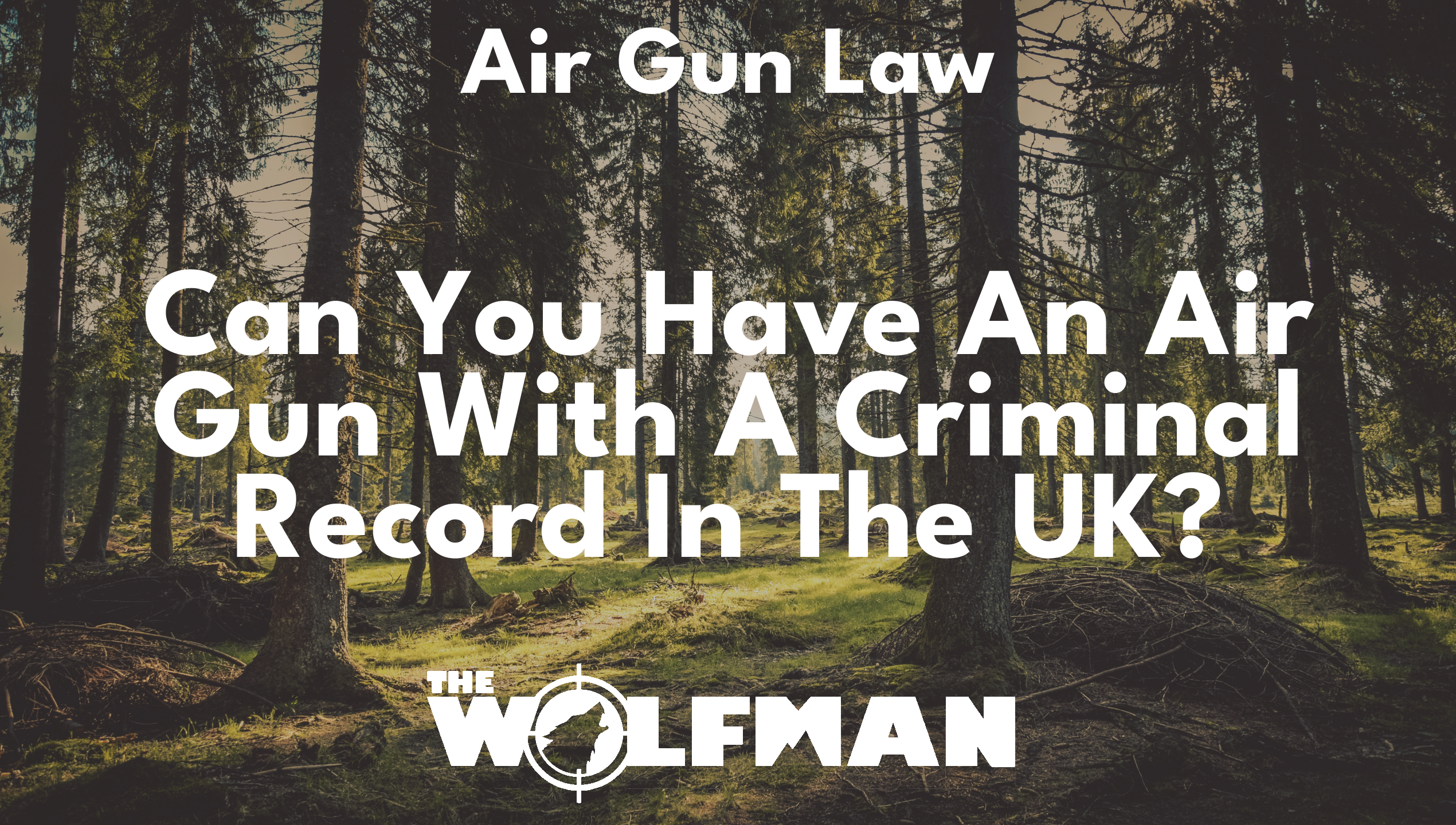 Can You Have An Air Gun With A Criminal Record In The UK? — The Wolfman