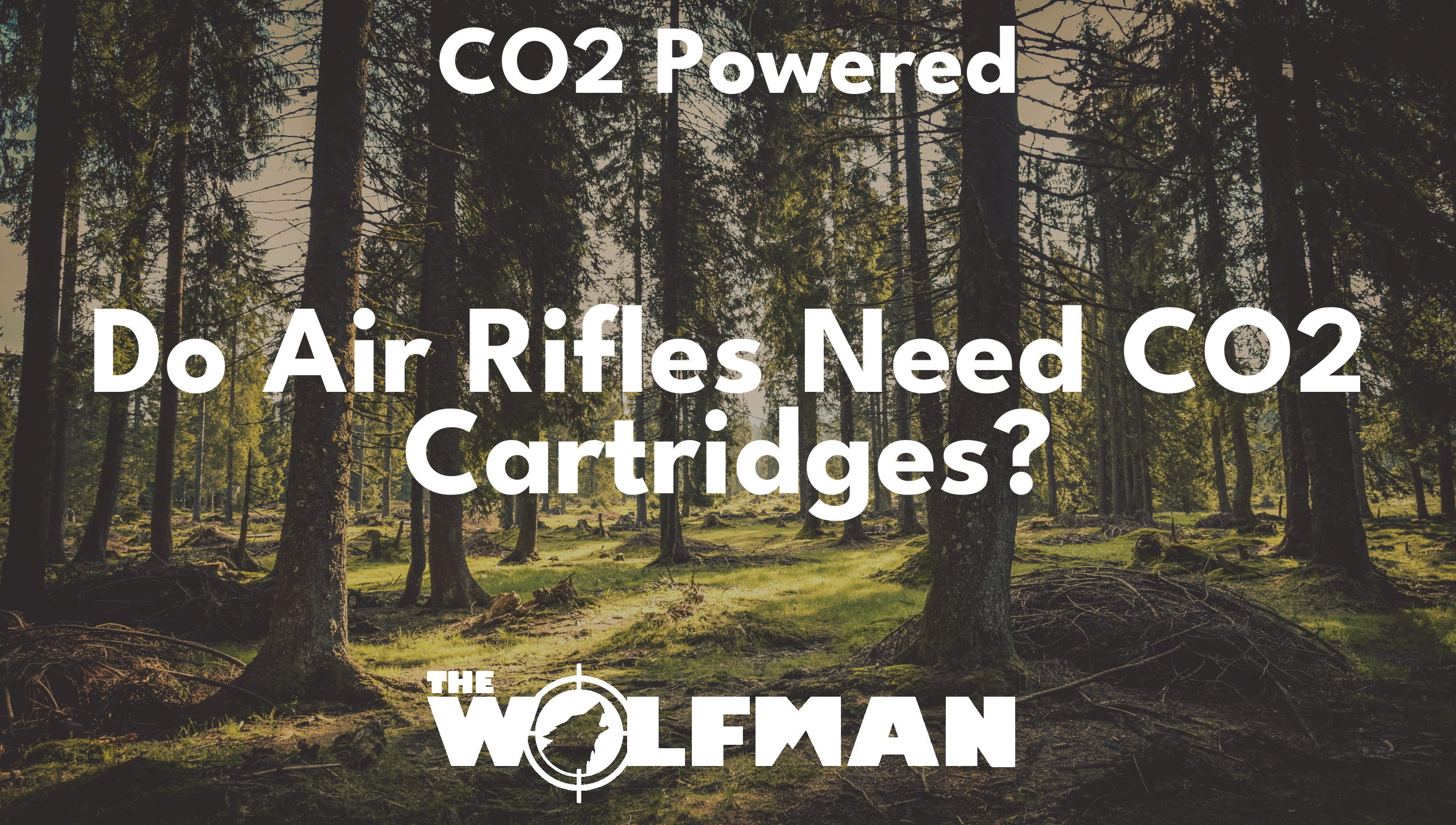 Do Air Rifles Need CO2 Cartridges? — The Wolfman