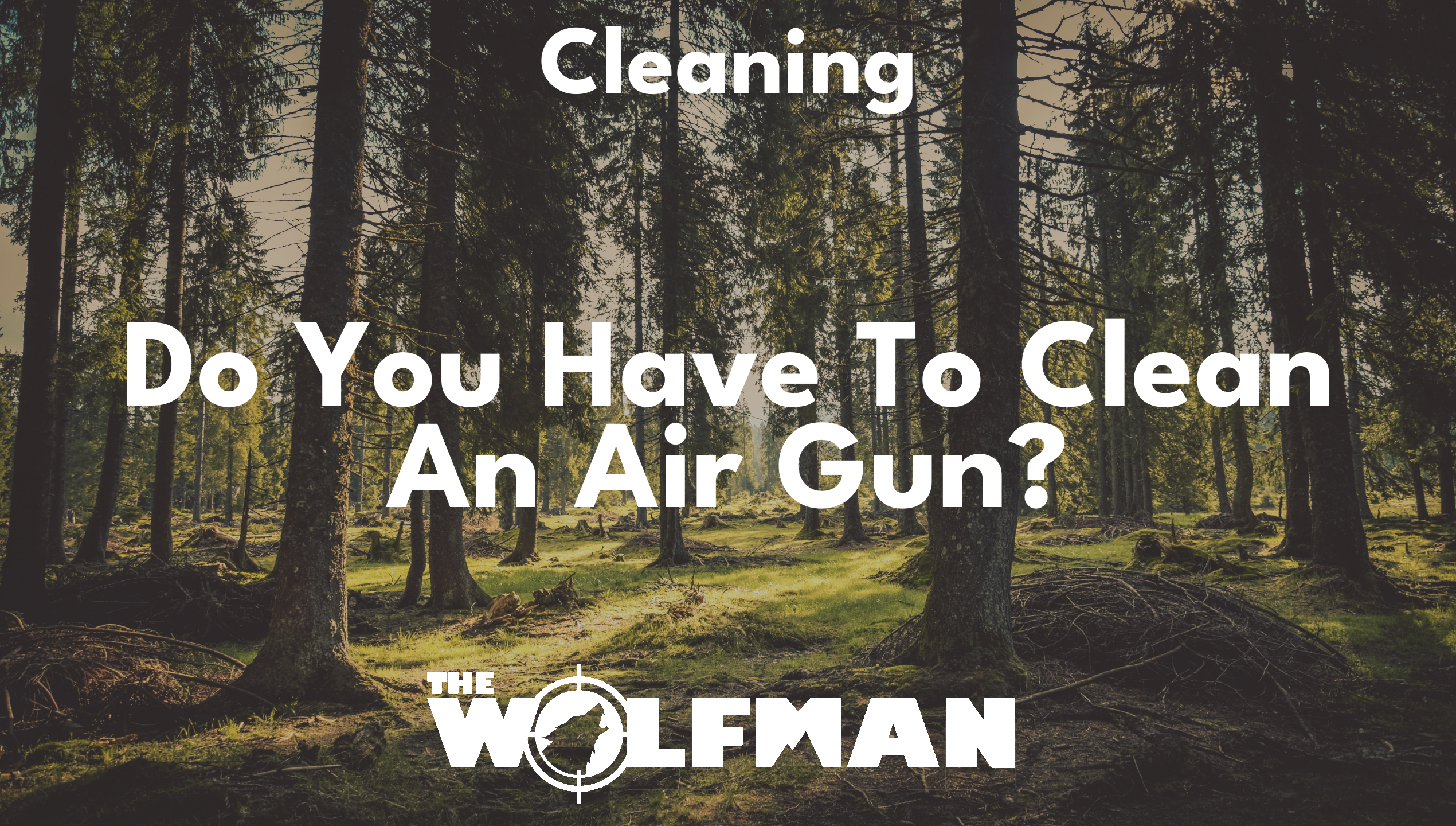 Do You Have To Clean An Air Gun? — The Wolfman