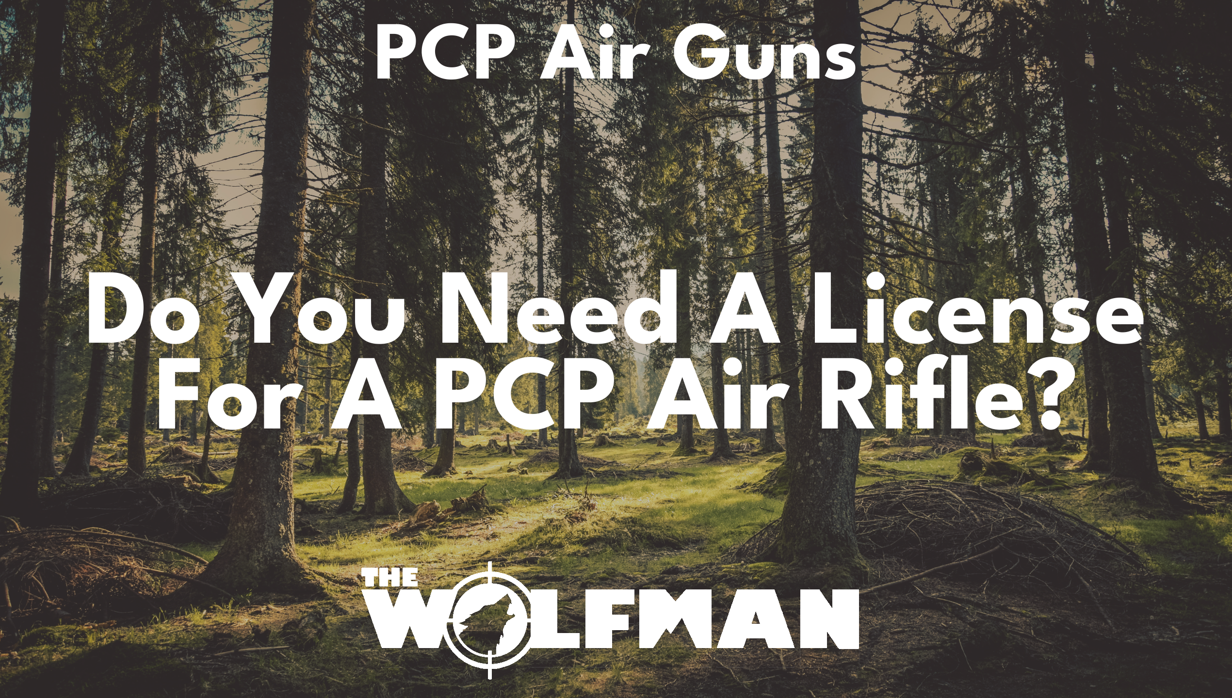 Do You Need A License For A PCP Air Rifle? — The Wolfman