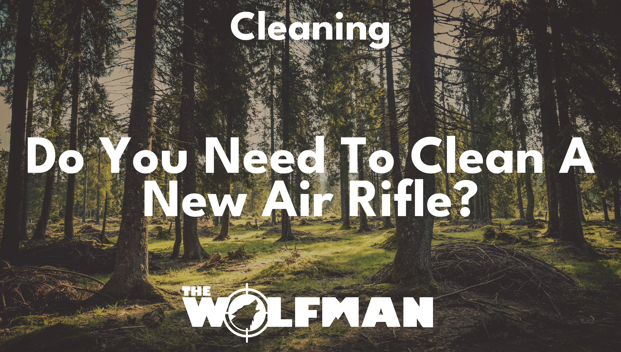 Do You Need To Clean A New Air Rifle? — The Wolfman