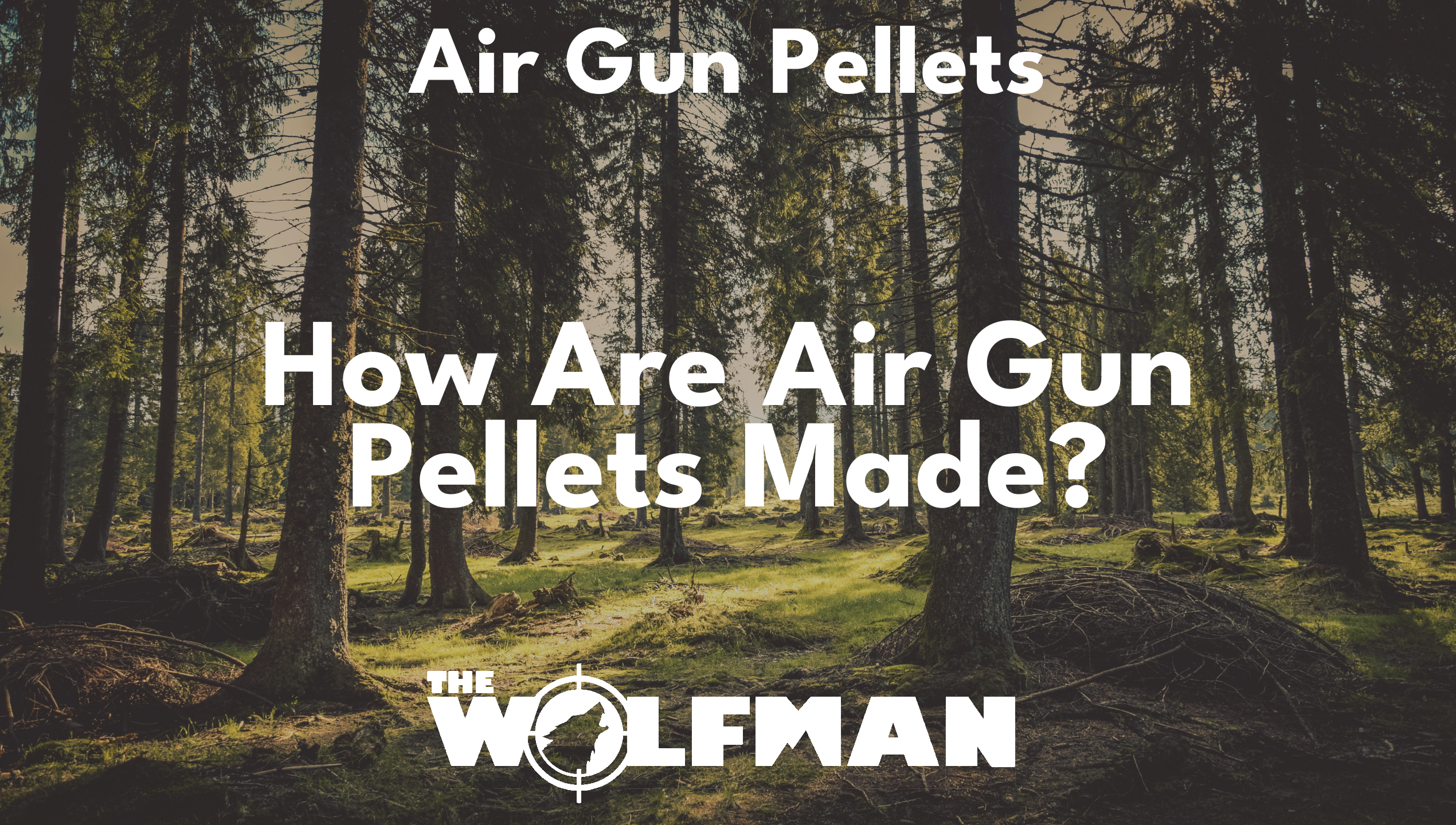 How Are Air Gun Pellets Made? — The Wolfman