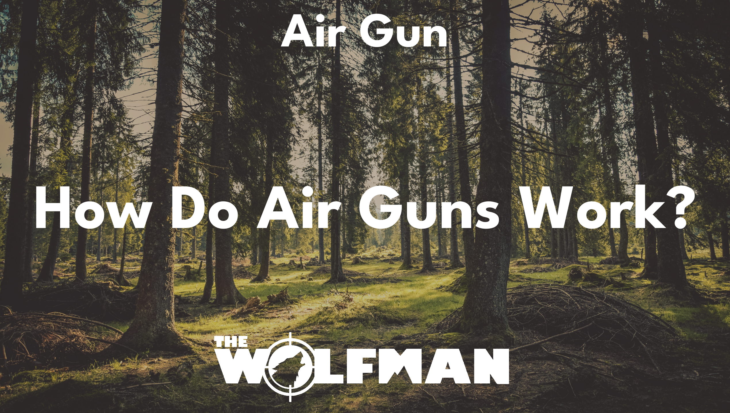 How Do Air Guns Work? — The Wolfman