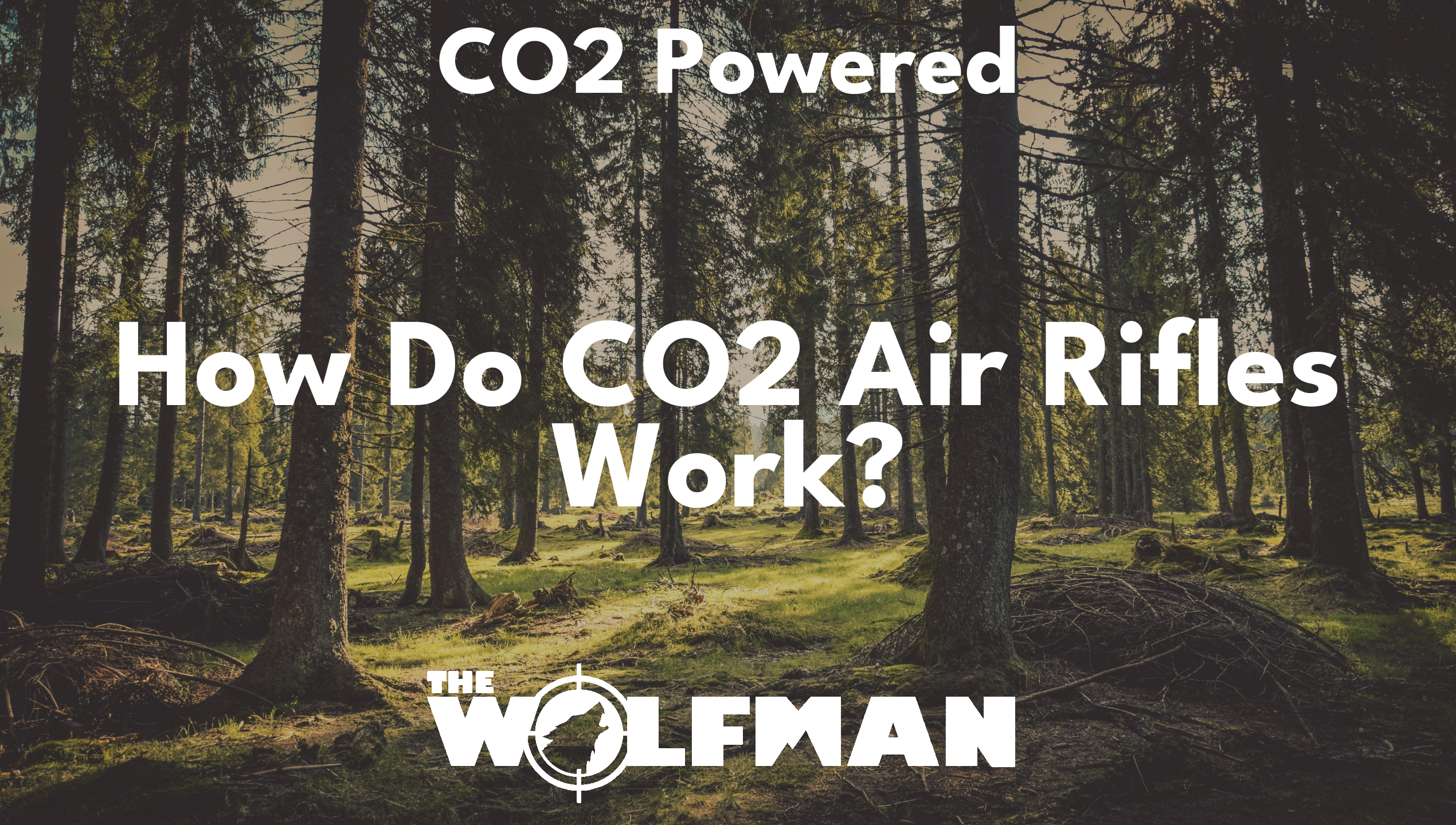 How Do CO2 Air Rifles Work? — The Wolfman