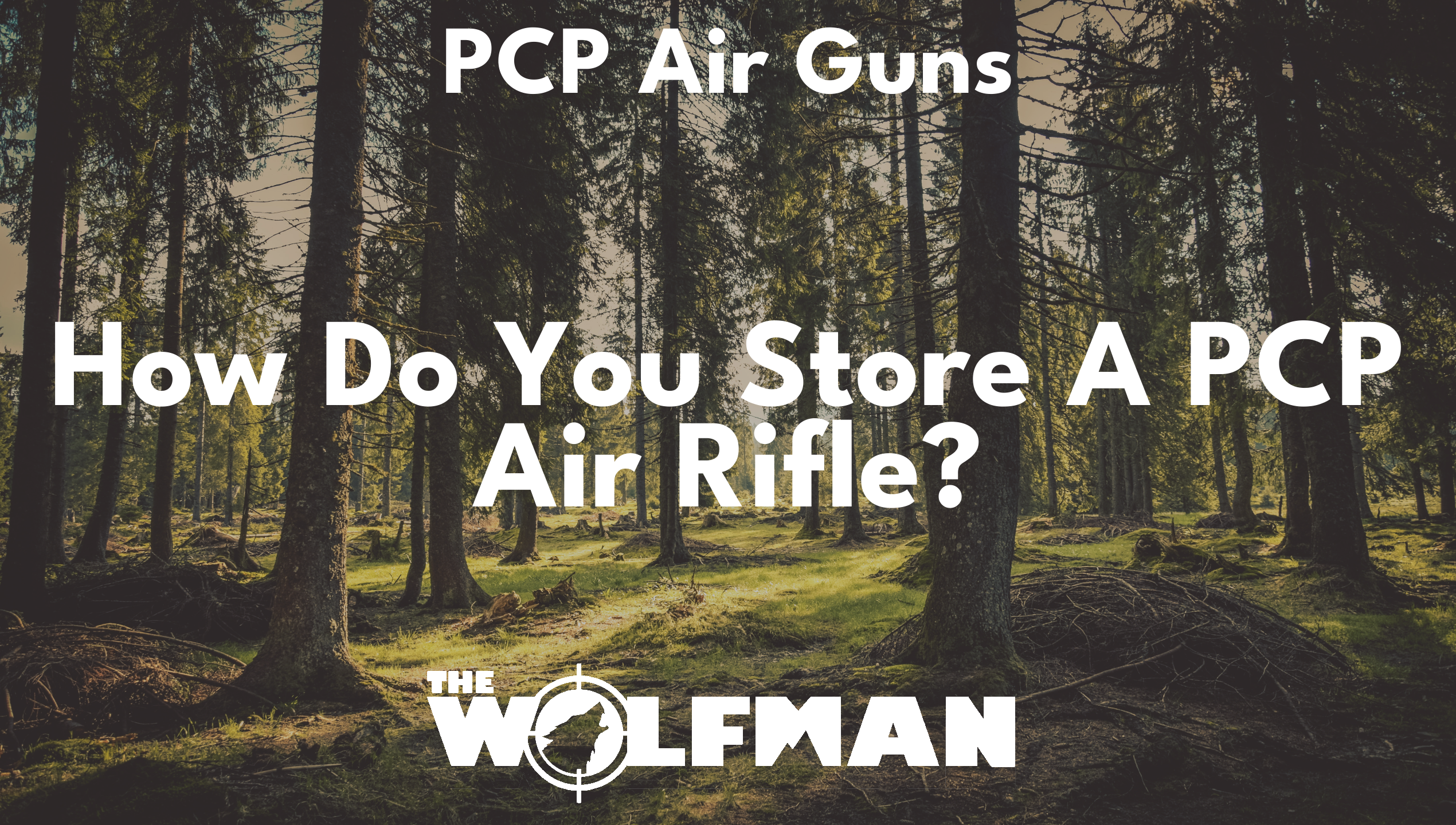 How Do You Store A PCP Air Rifle? — The Wolfman