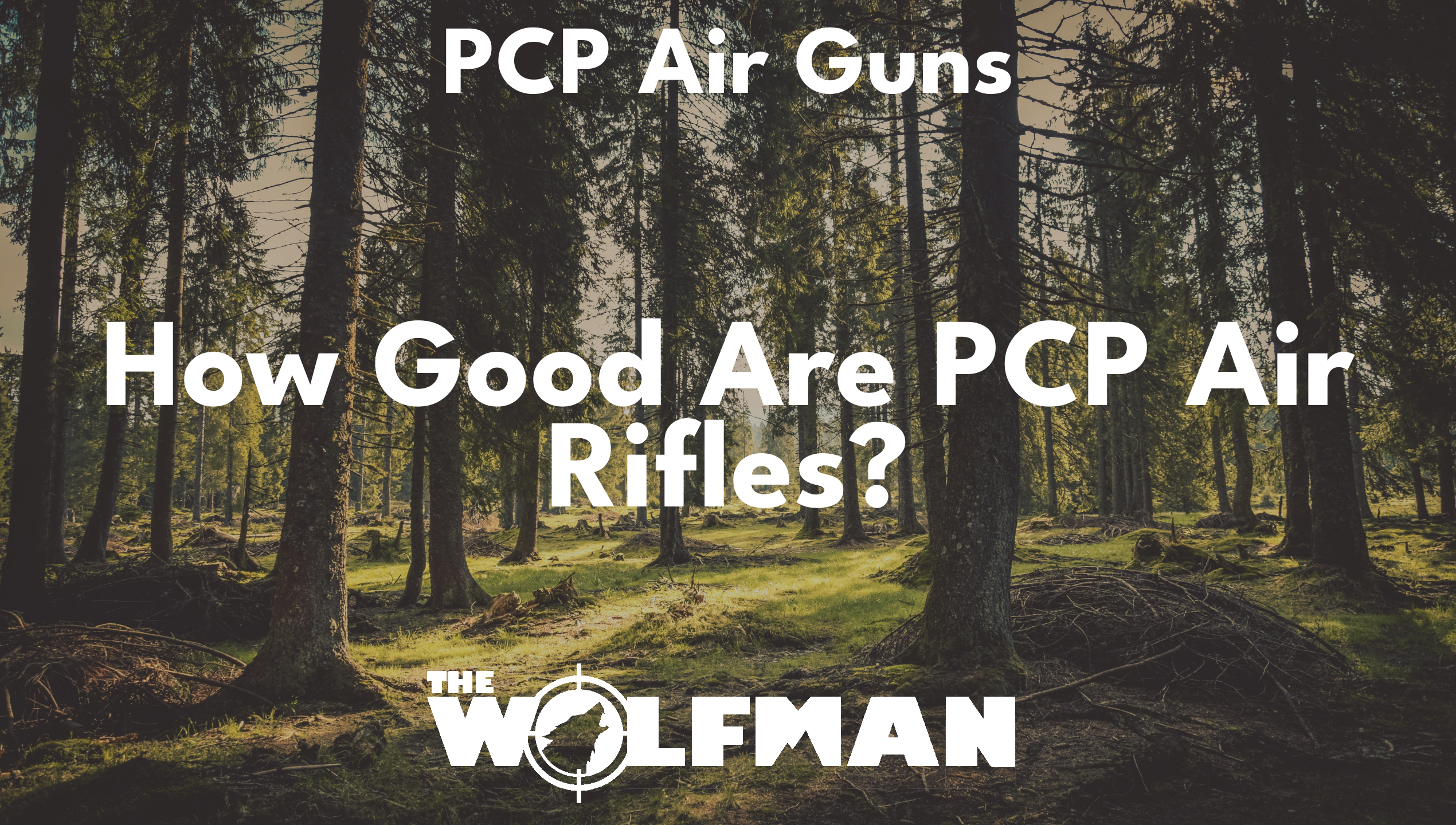 How Good Are PCP Air Rifles? — The Wolfman