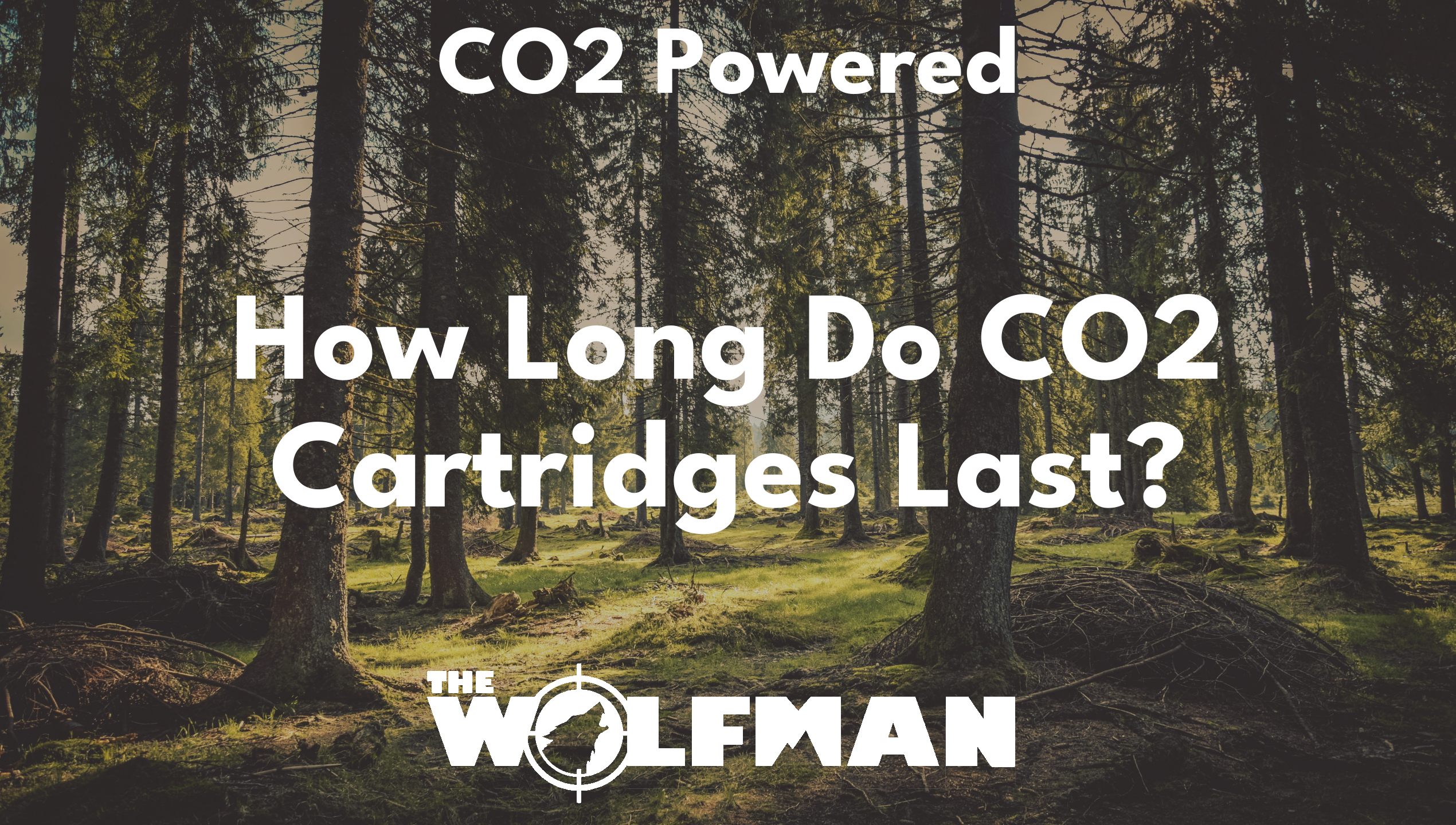 How Long Do CO2 Cartridges Last? — The Wolfman