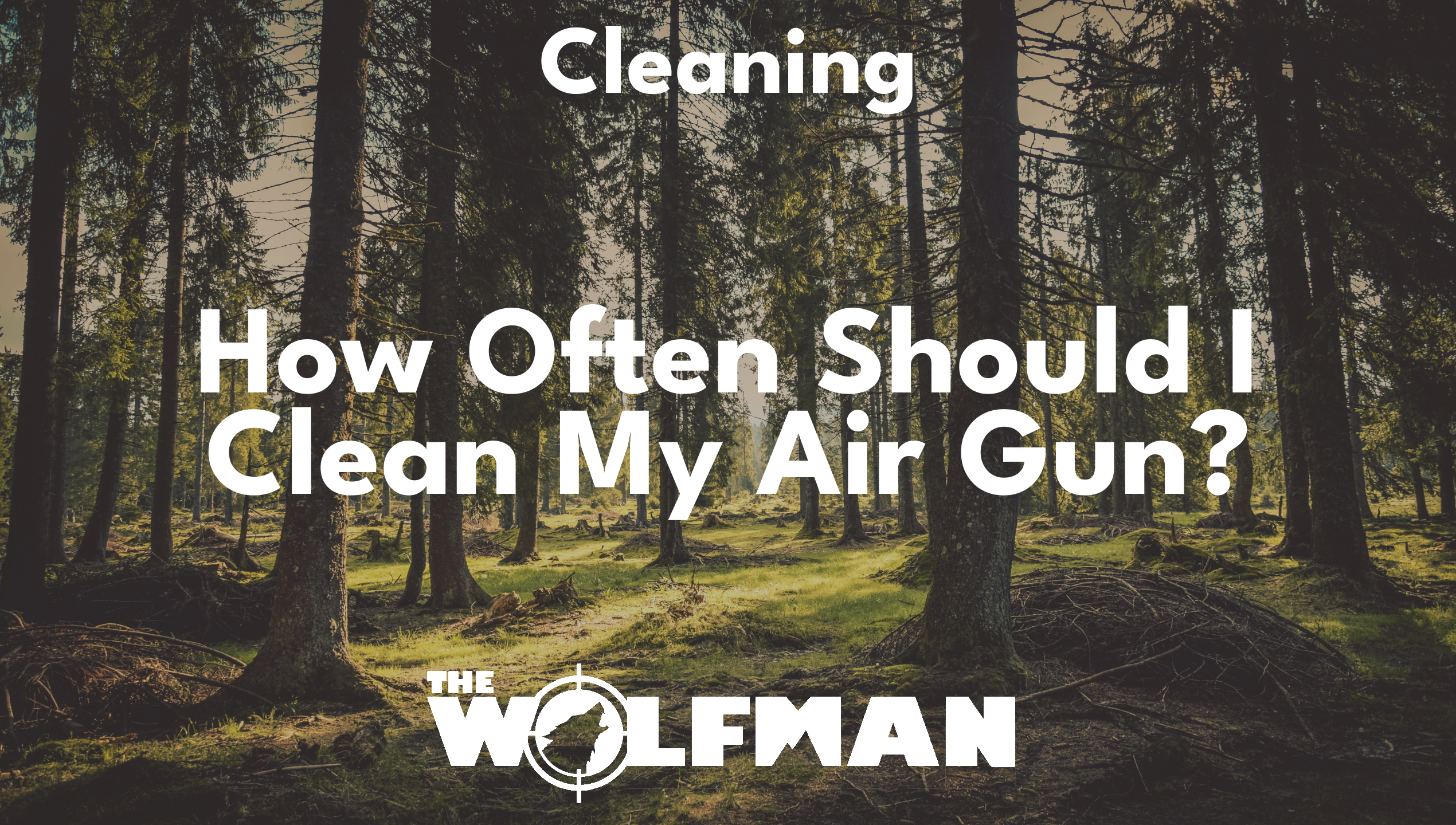 How Often Should I Clean My Air Gun? — The Wolfman