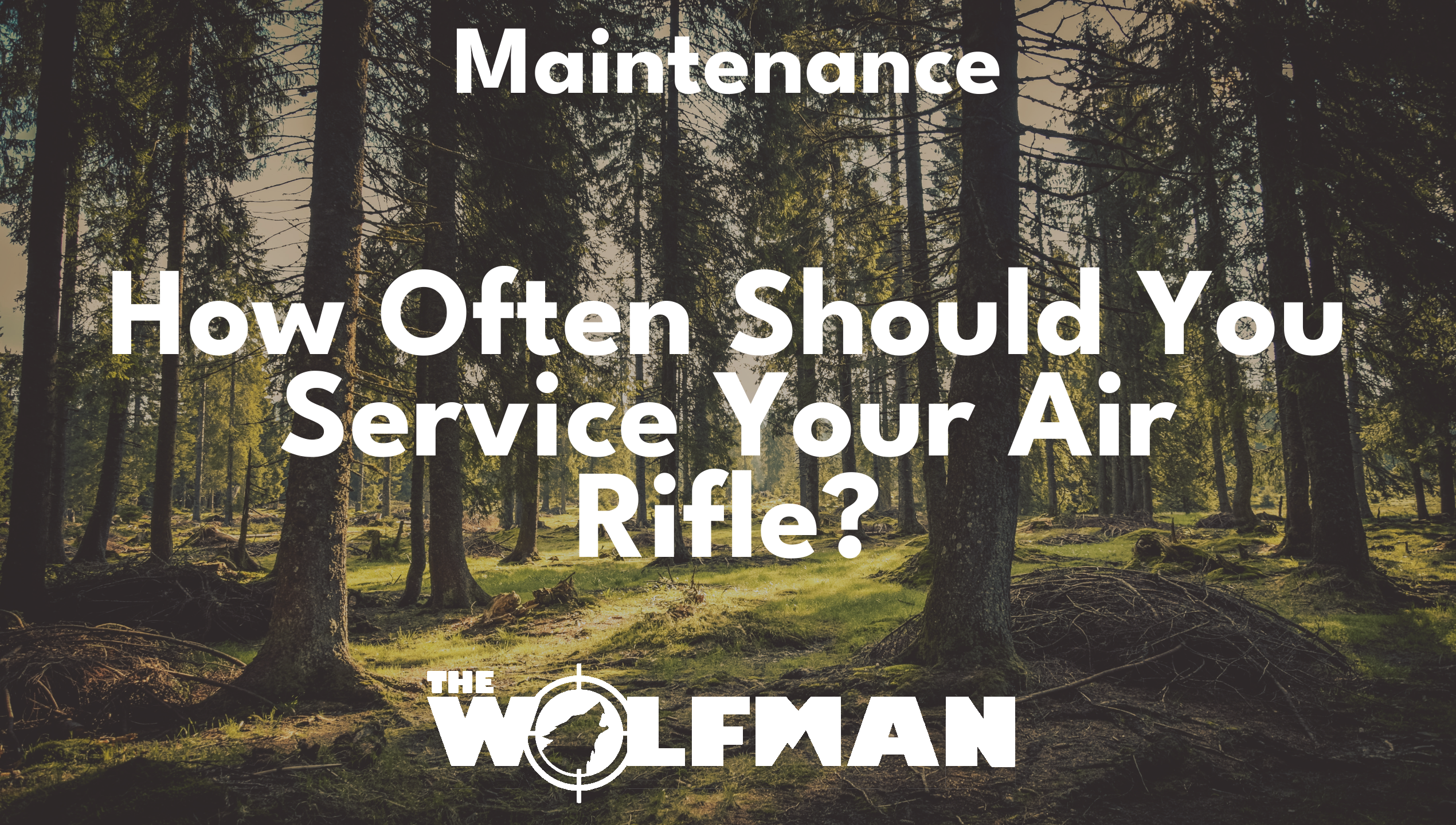 How Often Should You Service Your Air Rifle? — The Wolfman