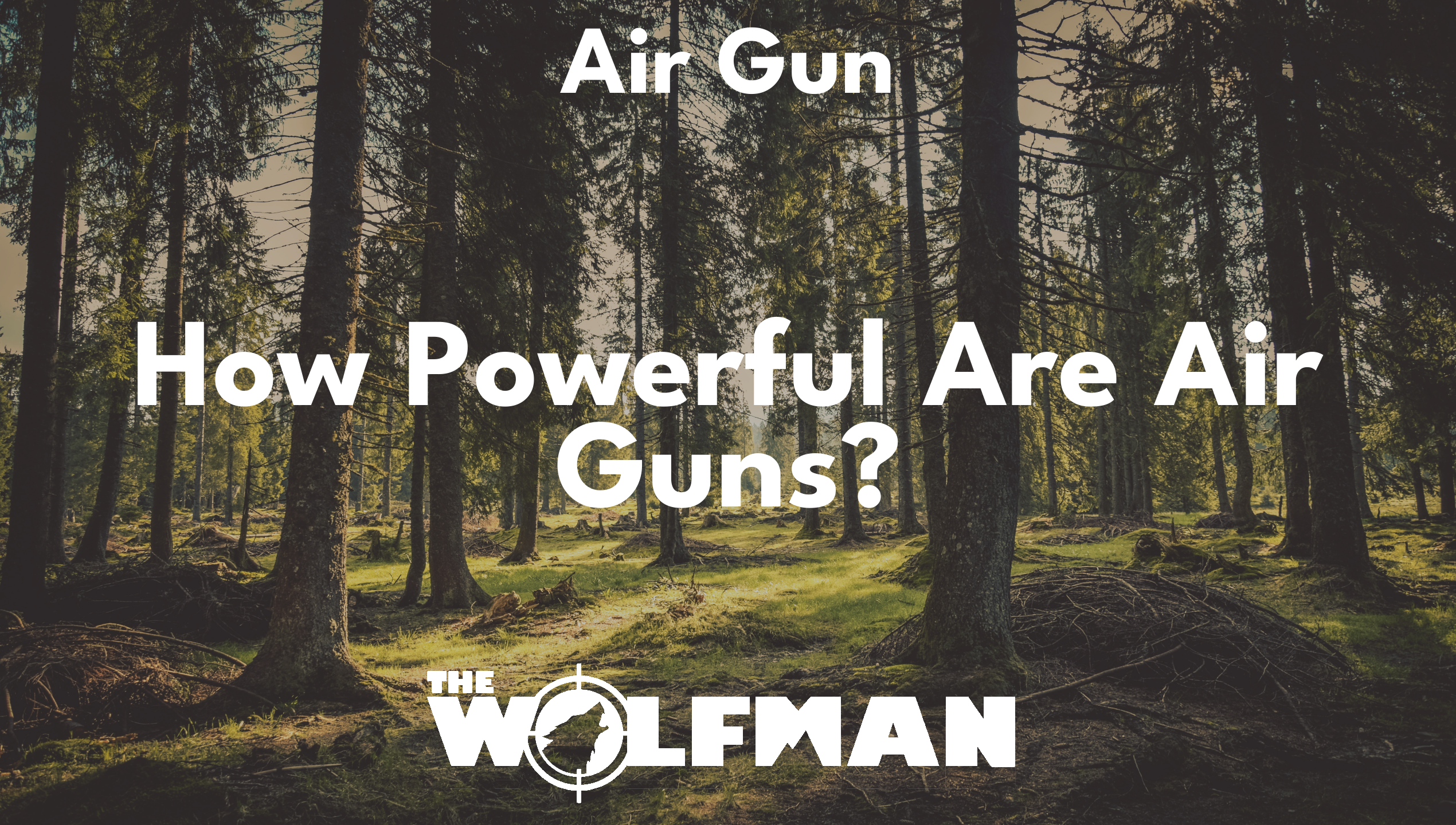 How Powerful Are Air Guns? — The Wolfman