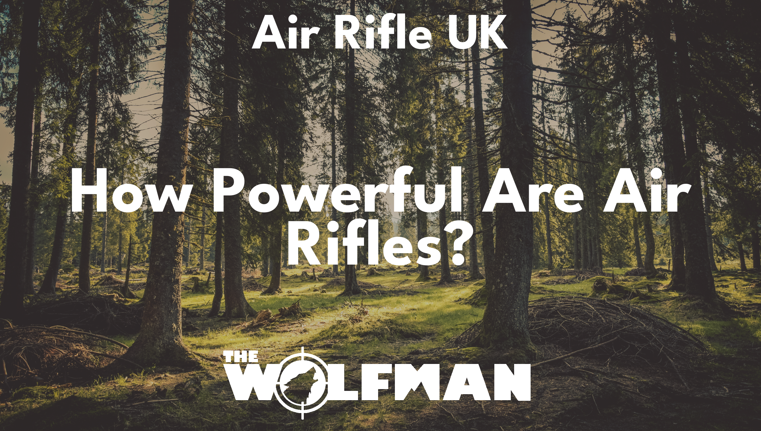 How Powerful Are Air Rifles? — The Wolfman