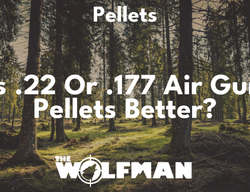 Is .22 or .177 air gun pellets better?