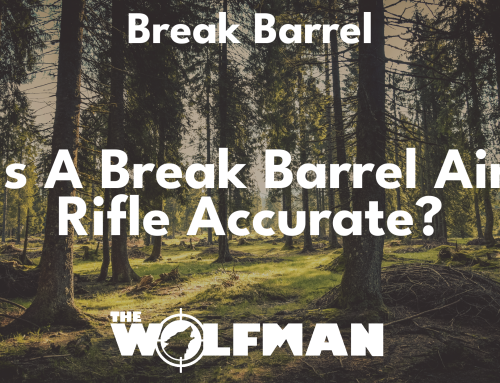 Is a break barrel air rifle accurate?