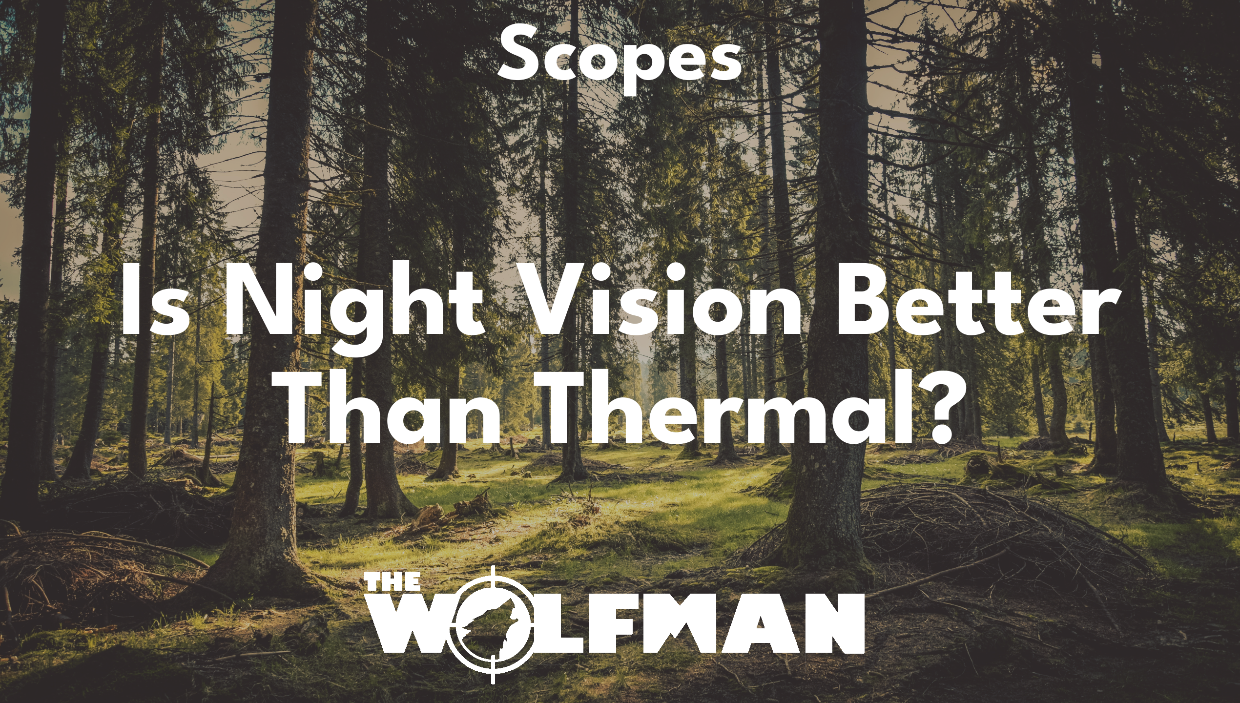 Is Night Vision Better Than Thermal? — The Wolfman