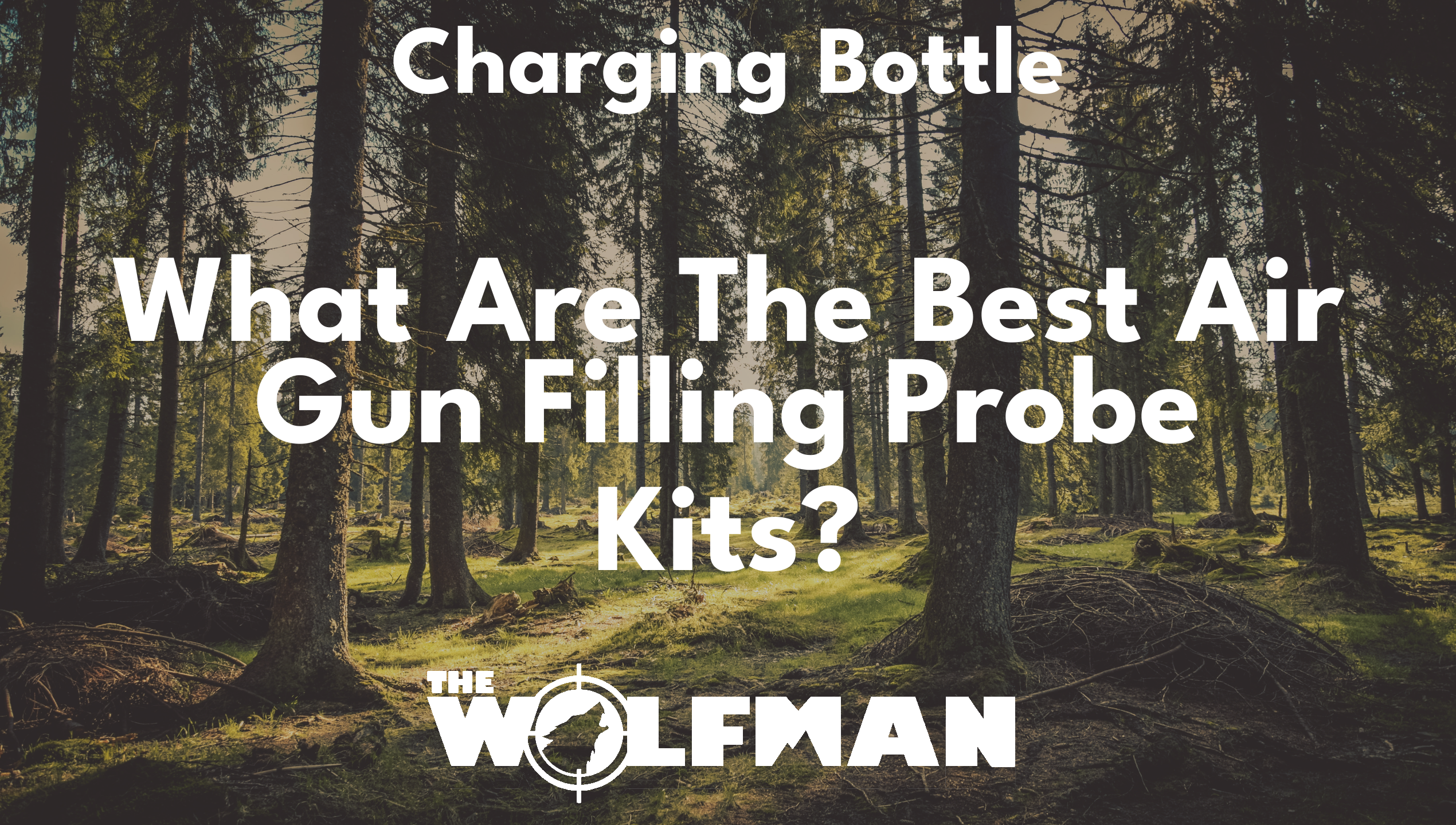 What Are The Best Air Gun Filling Probe Kits? — The Wolfman