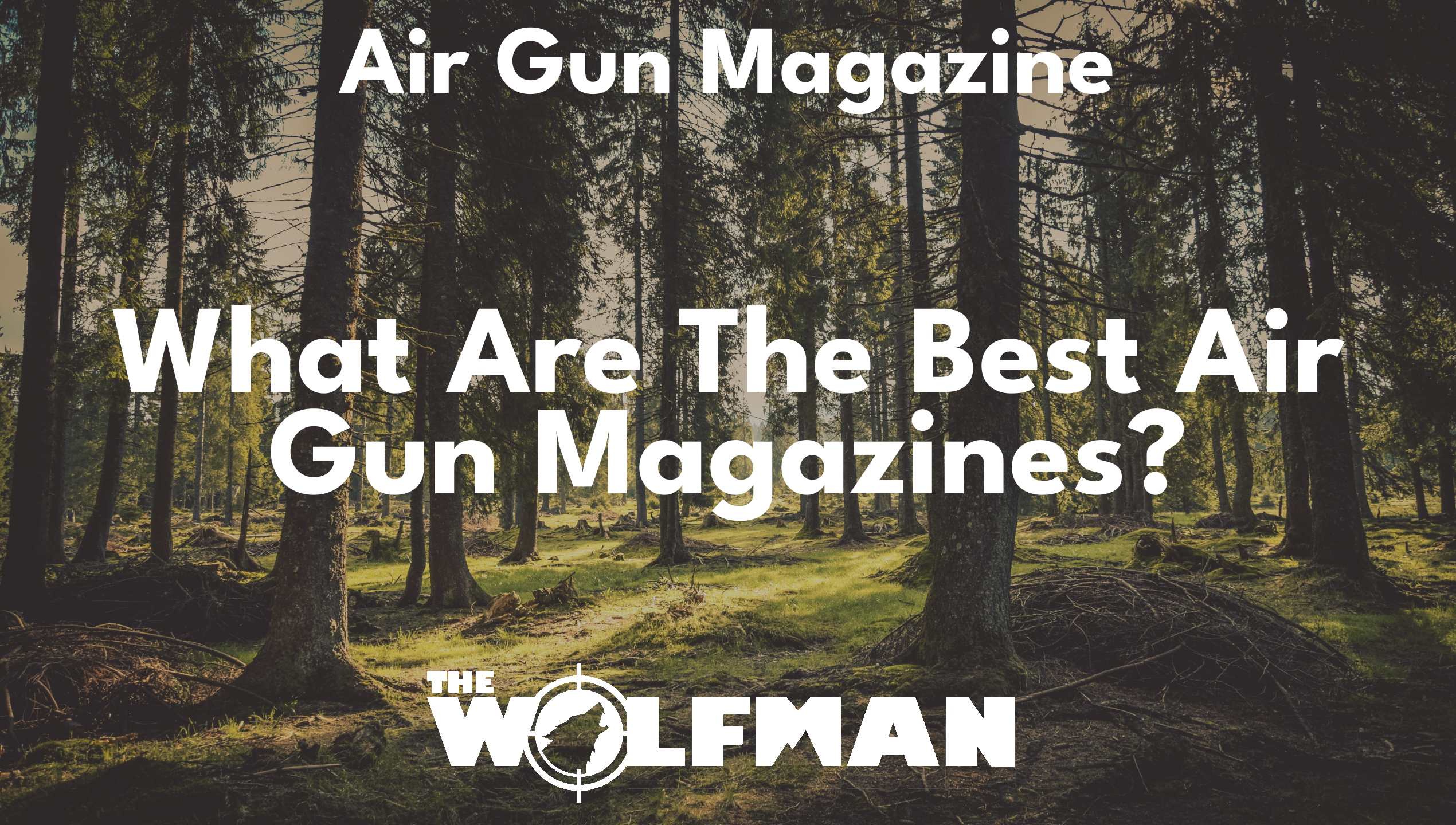 What Are The Best Air Gun Magazines? — The Wolfman