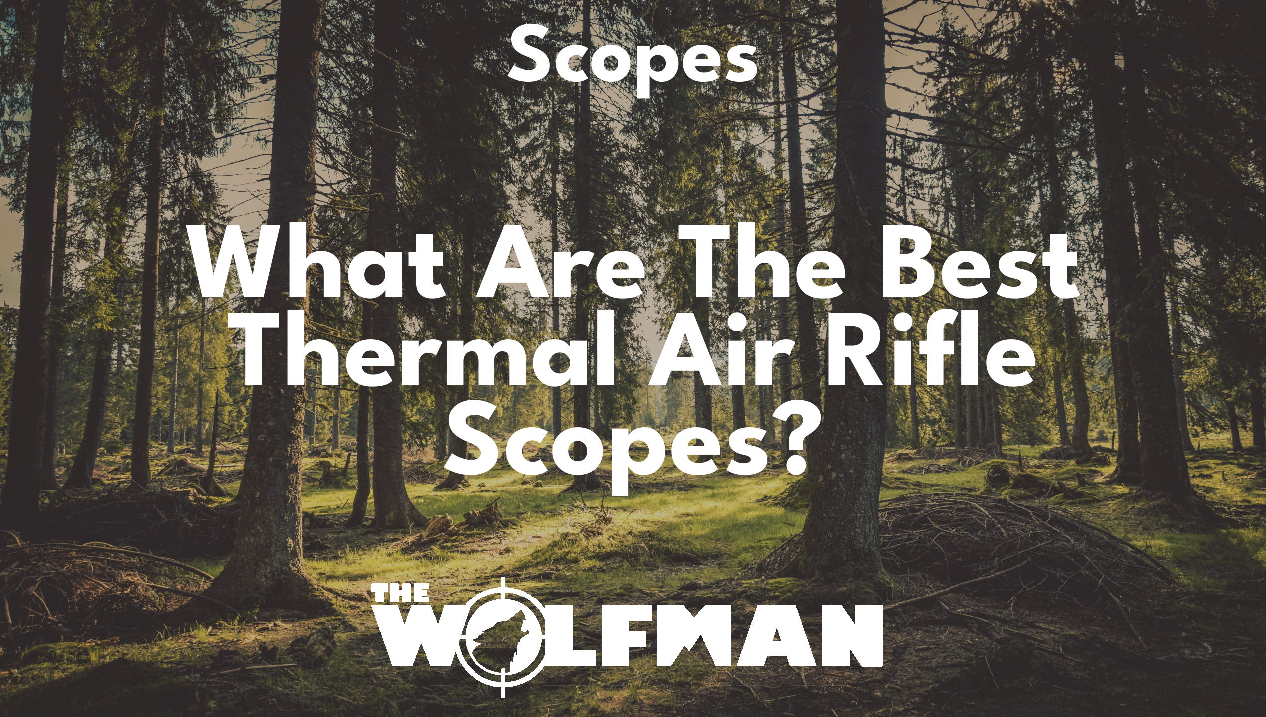What Are The Best Thermal Air Rifle Scopes? — The Wolfman