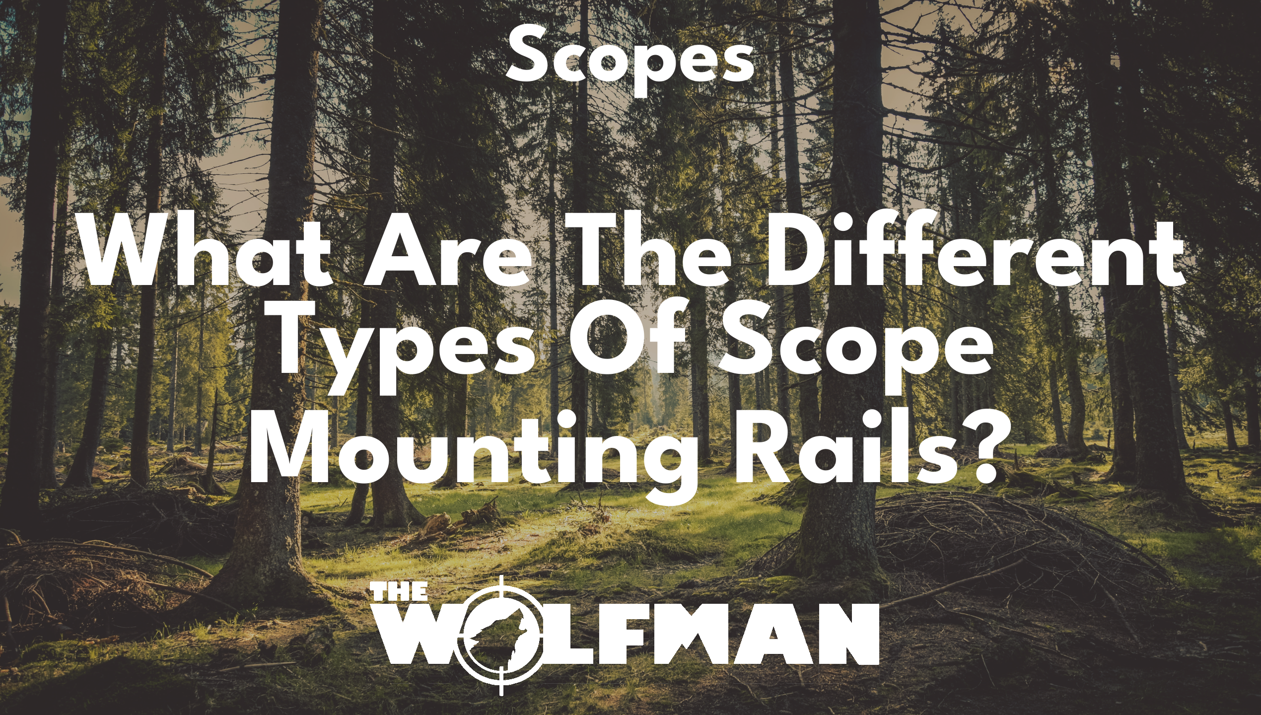 What Are The Different Types Of Scope Mounting Rails? — The Wolfman