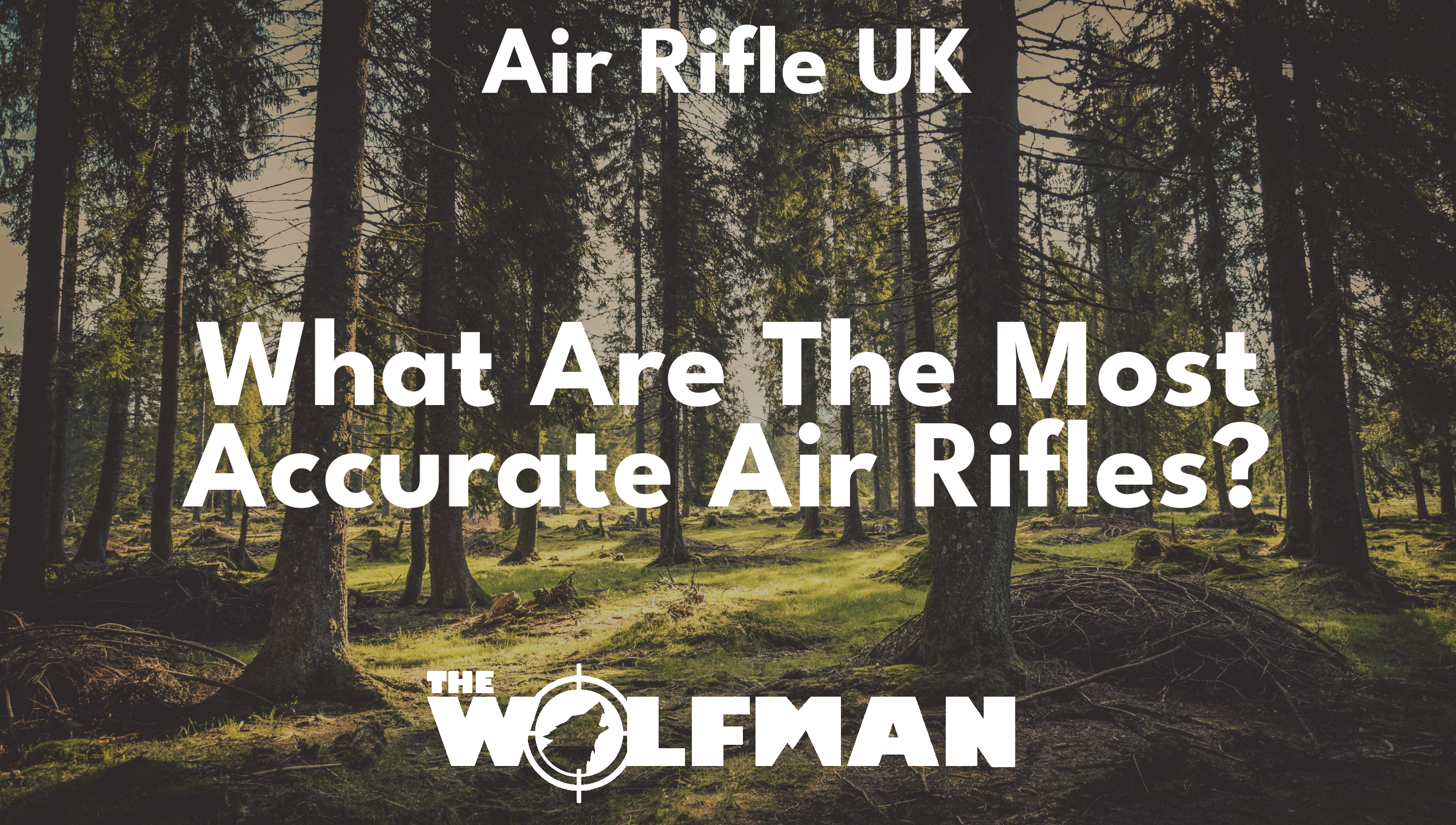 What Are The Most Accurate Air Rifles? — The Wolfman