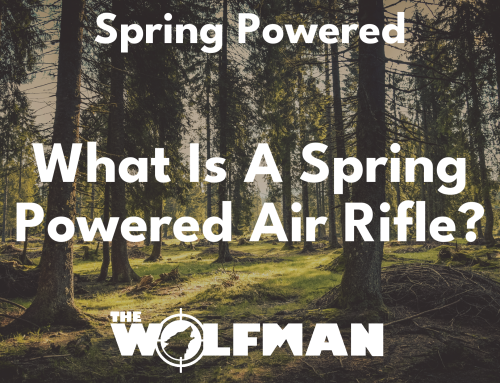What is a spring powered air rifle?