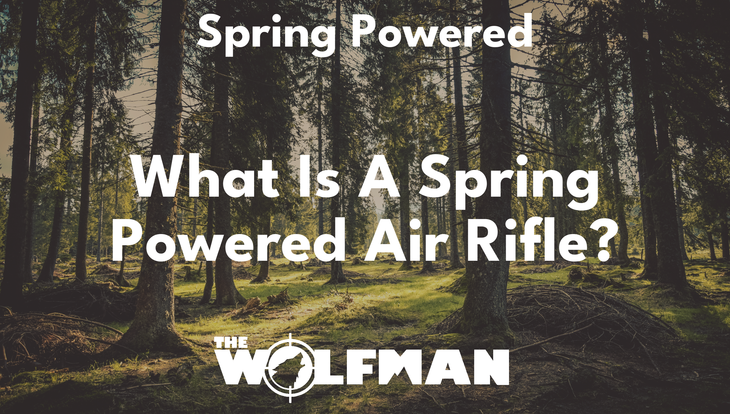 What Is A Spring Powered Air Rifle? — The Wolfman
