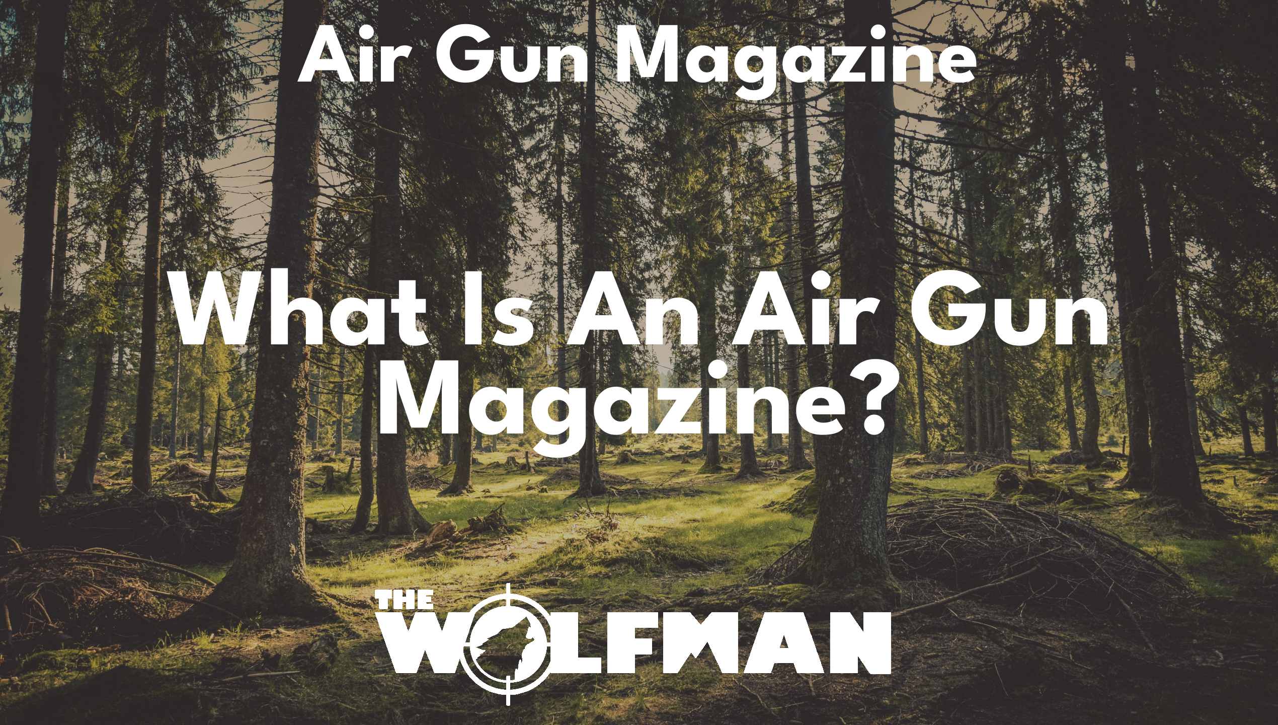 What Is An Air Gun Magazine? — The Wolfman
