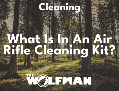 What is in an air rifle cleaning kit?
