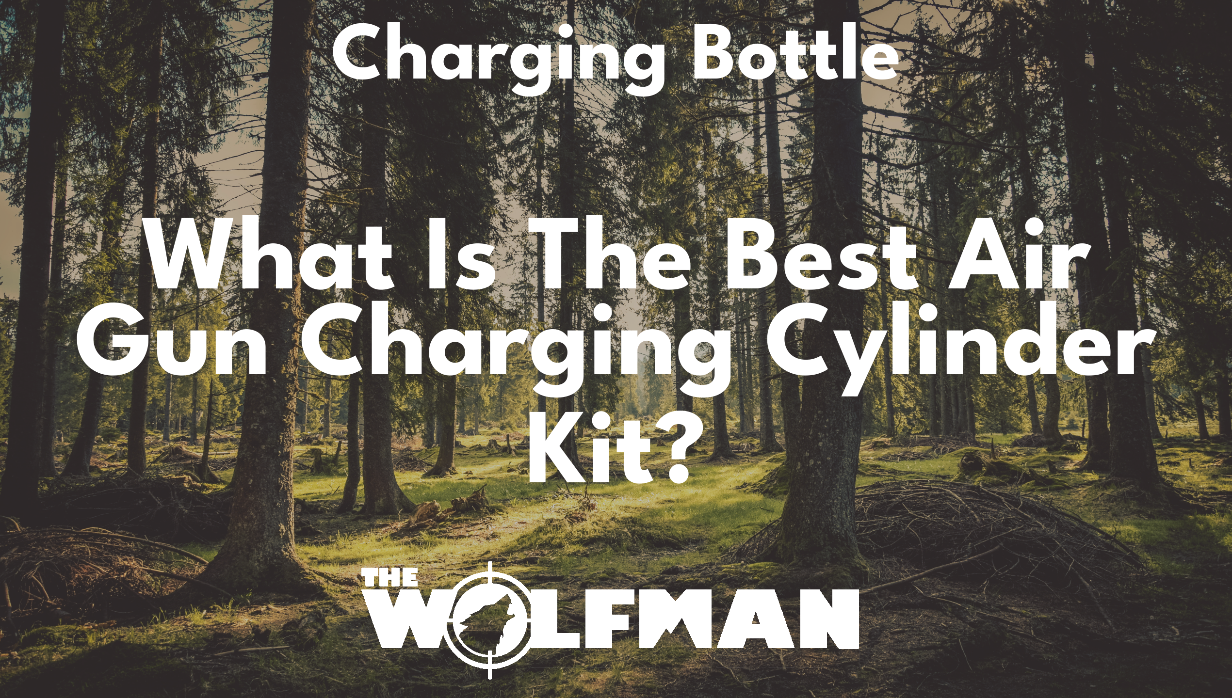 What Is The Best Air Gun Charging Cylinder Kit? — The Wolfman