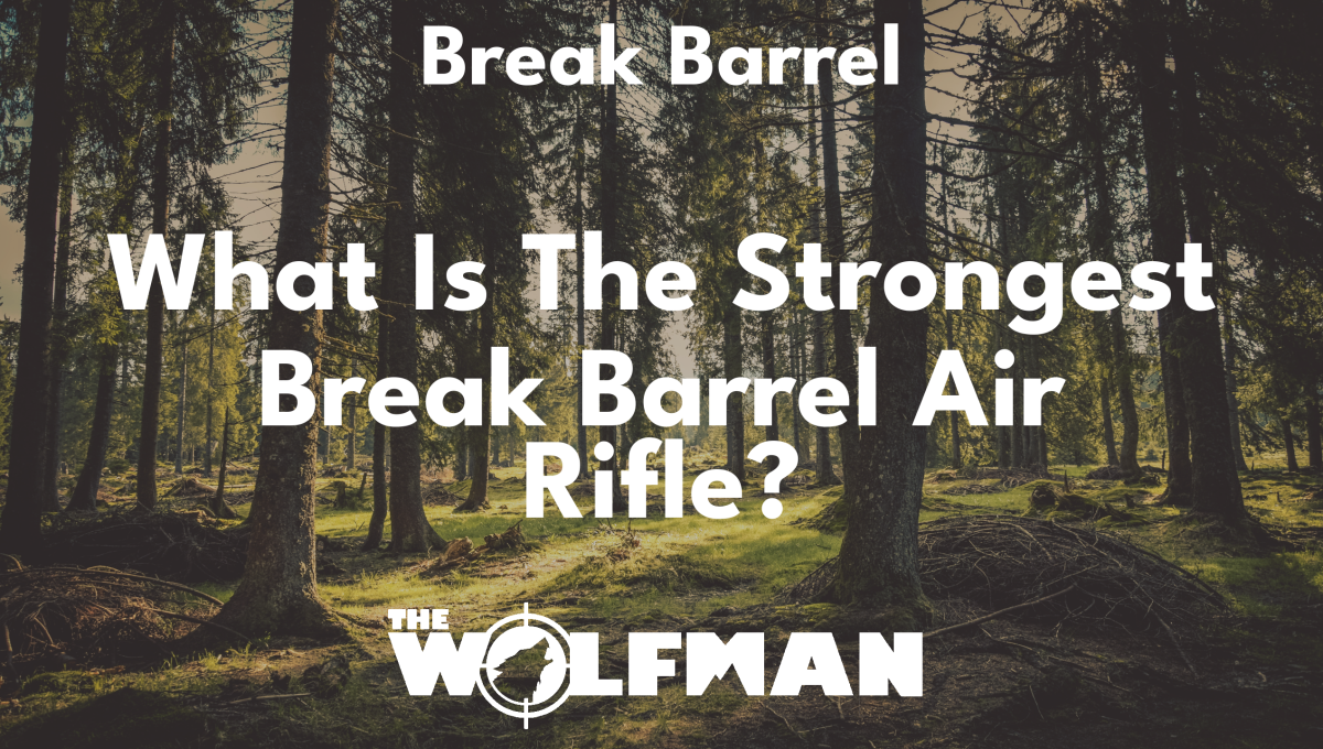 Break Barrel Air Rifle Archives The Wolfman