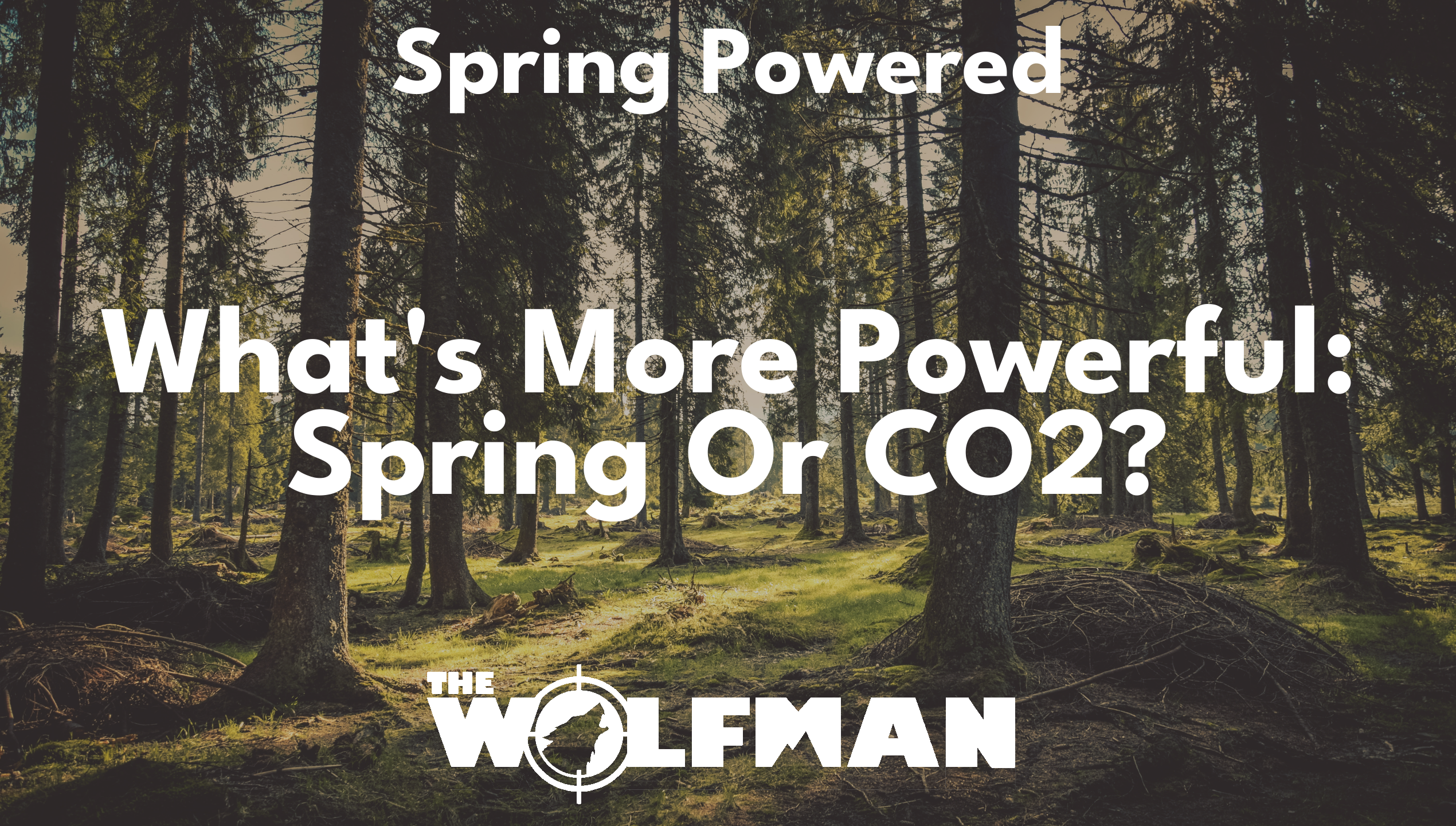 What's More Powerful: Spring Or CO2? — The Wolfman