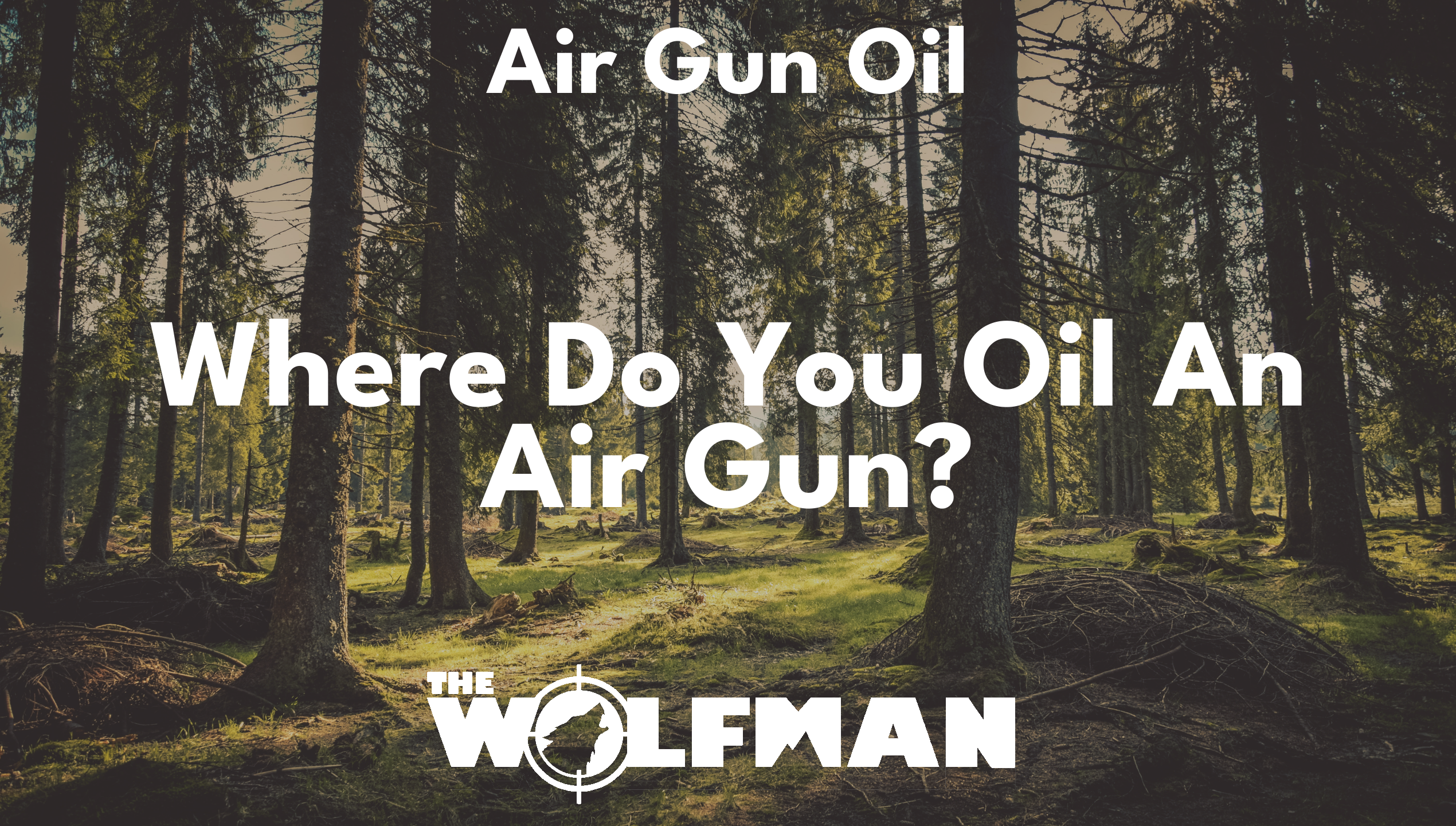 Where Do You Oil An Air Gun? — The Wolfman