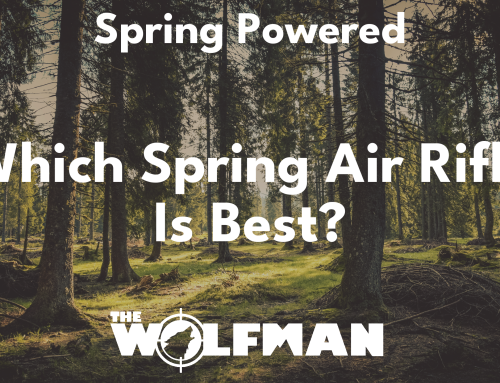 Which spring air rifle is best?