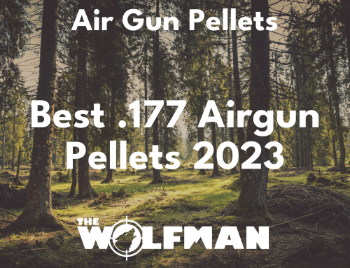 Best .177 Airgun Pellets 2023