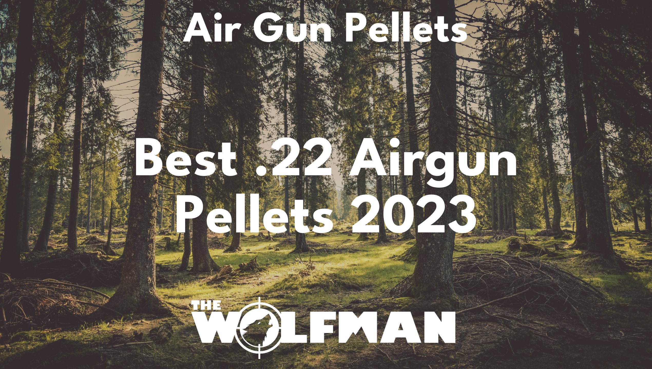Best .22 Airgun Pellets 2023 — The Wolfman