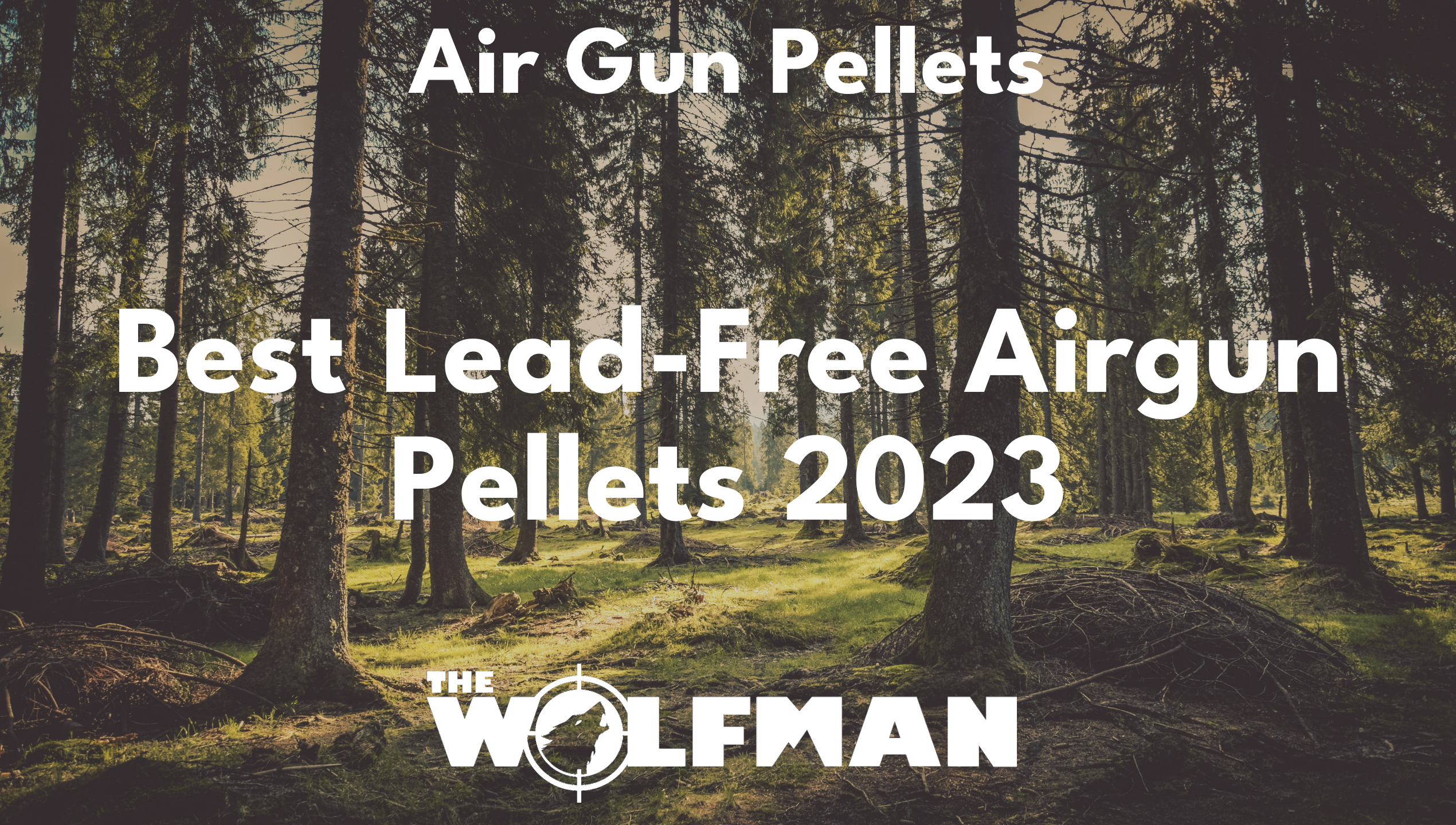 Best Lead-Free Airgun Pellets 2023 — The Wolfman