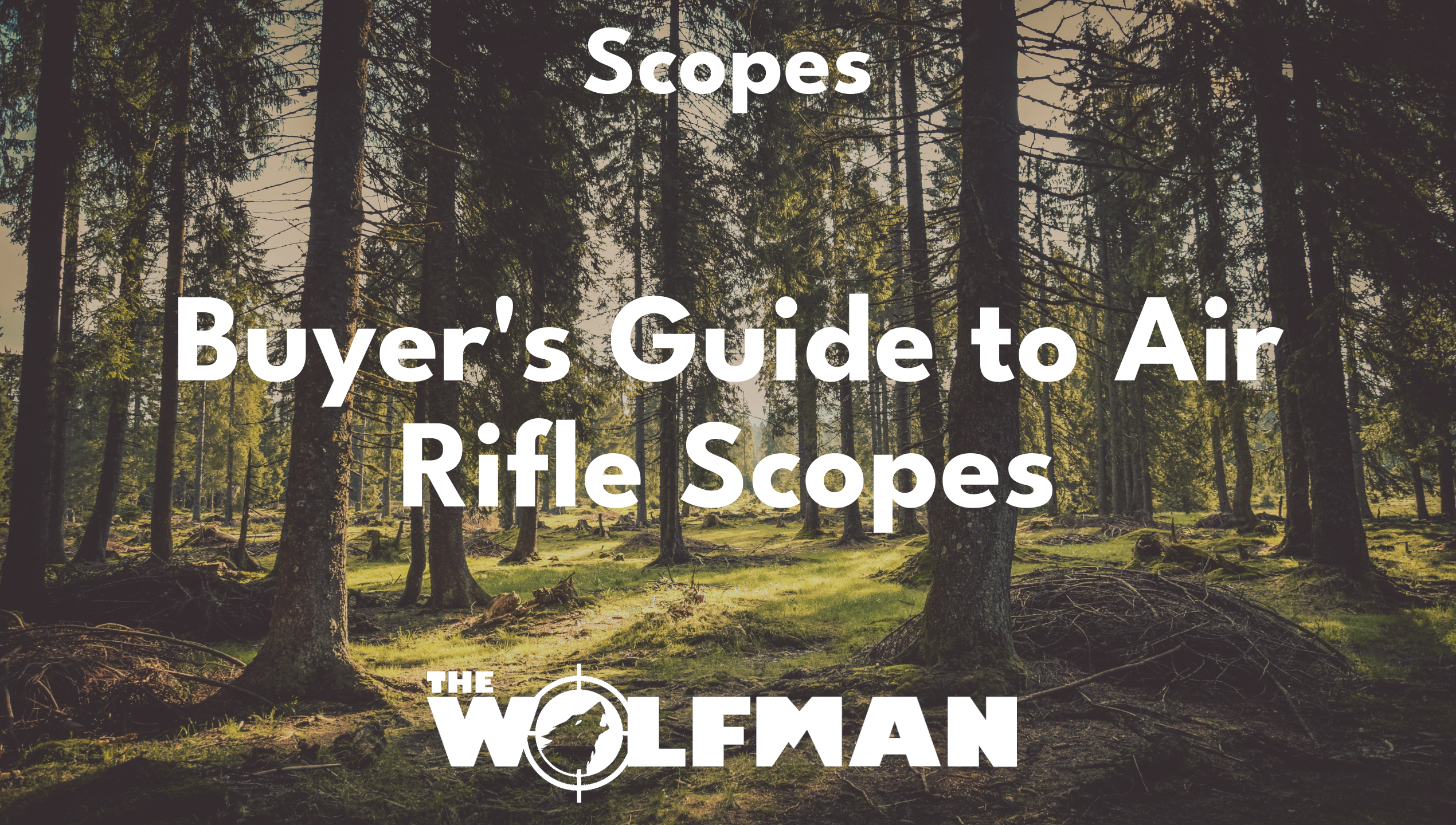 Buyer's Guide to Air Rifle Scopes — The Wolfman