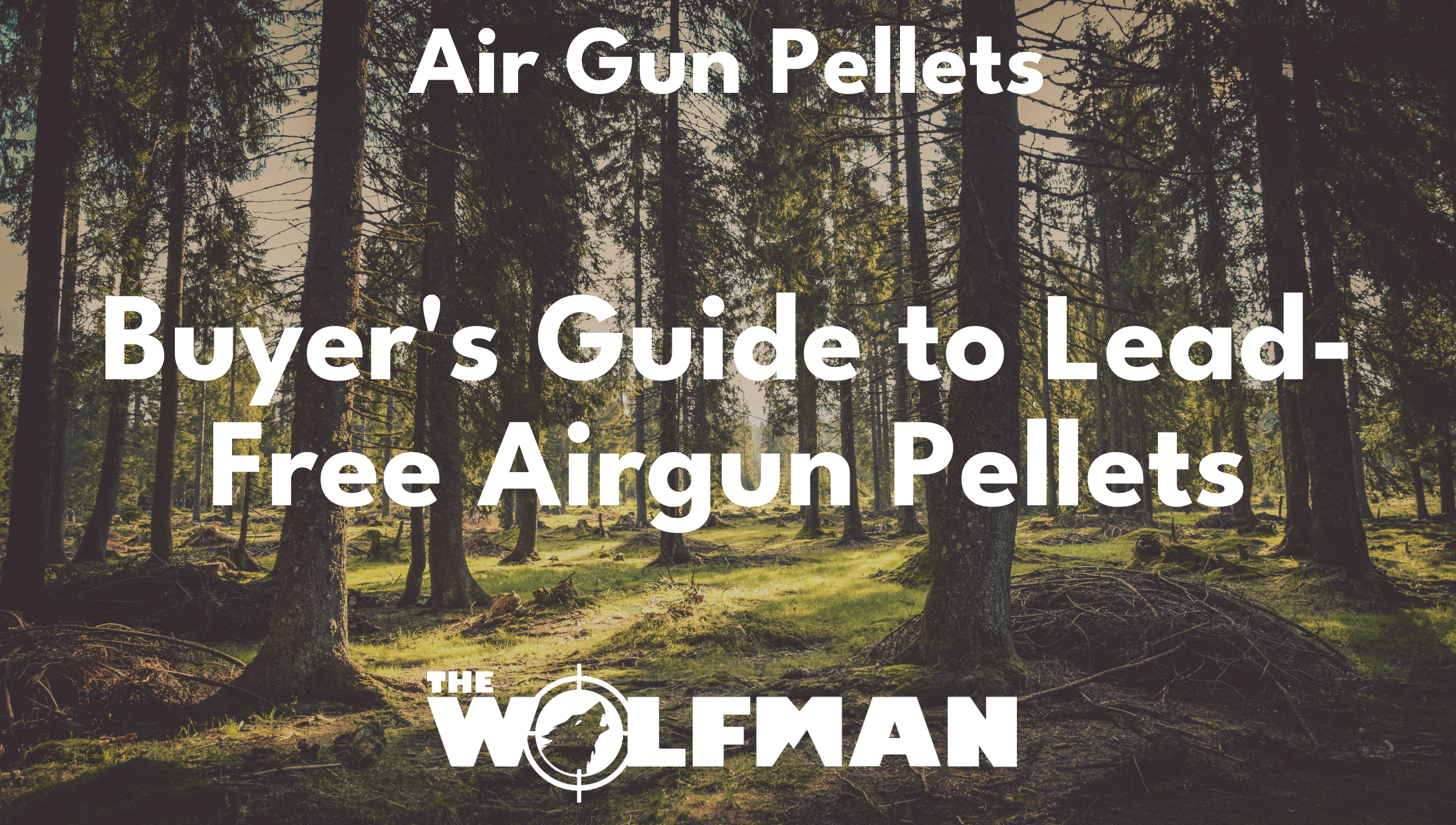 Buyer's Guide to Lead-Free Airgun Pellets — The Wolfman